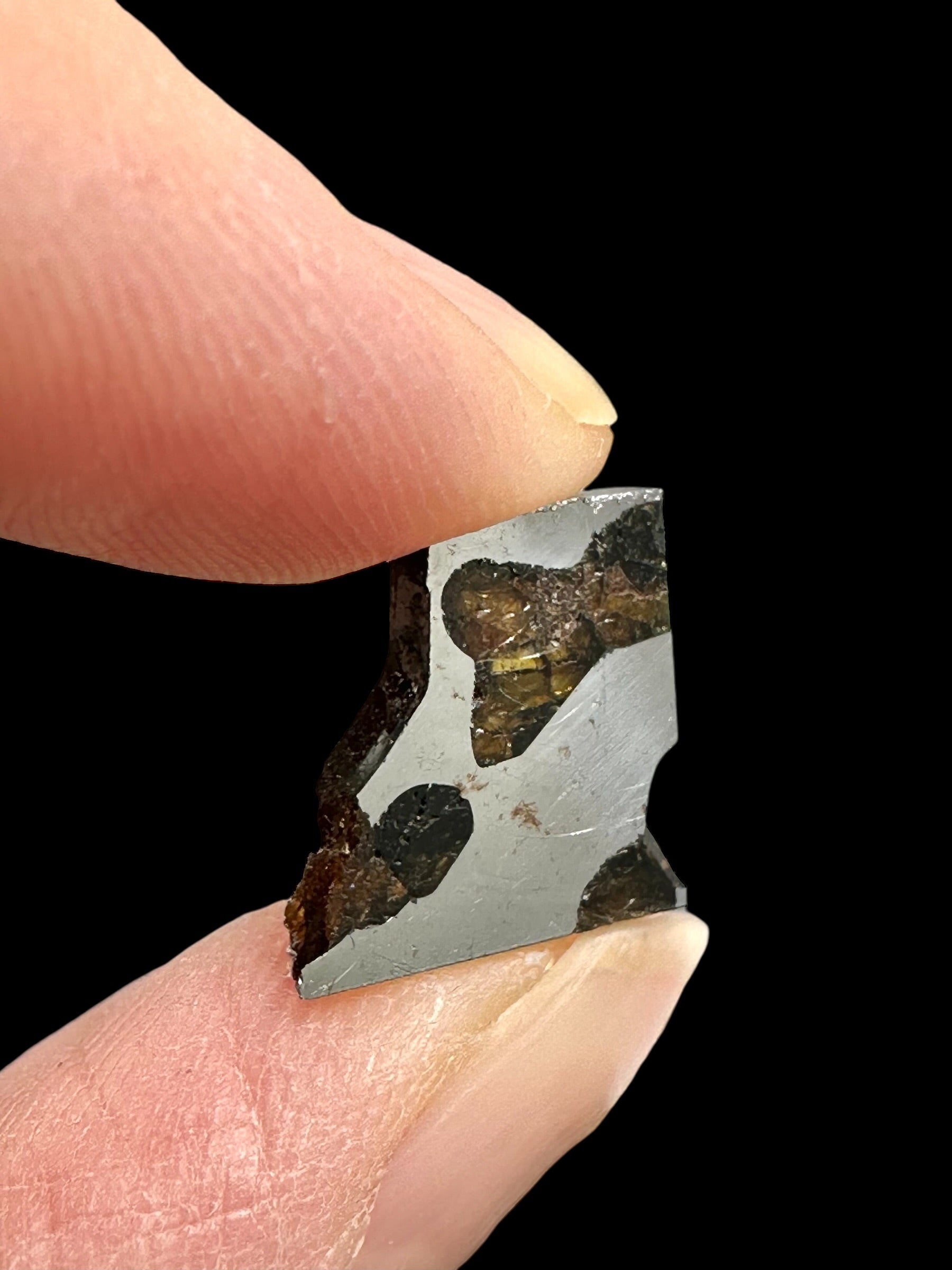 Meteorite Borzya 1,3g – Russia - MEBO24