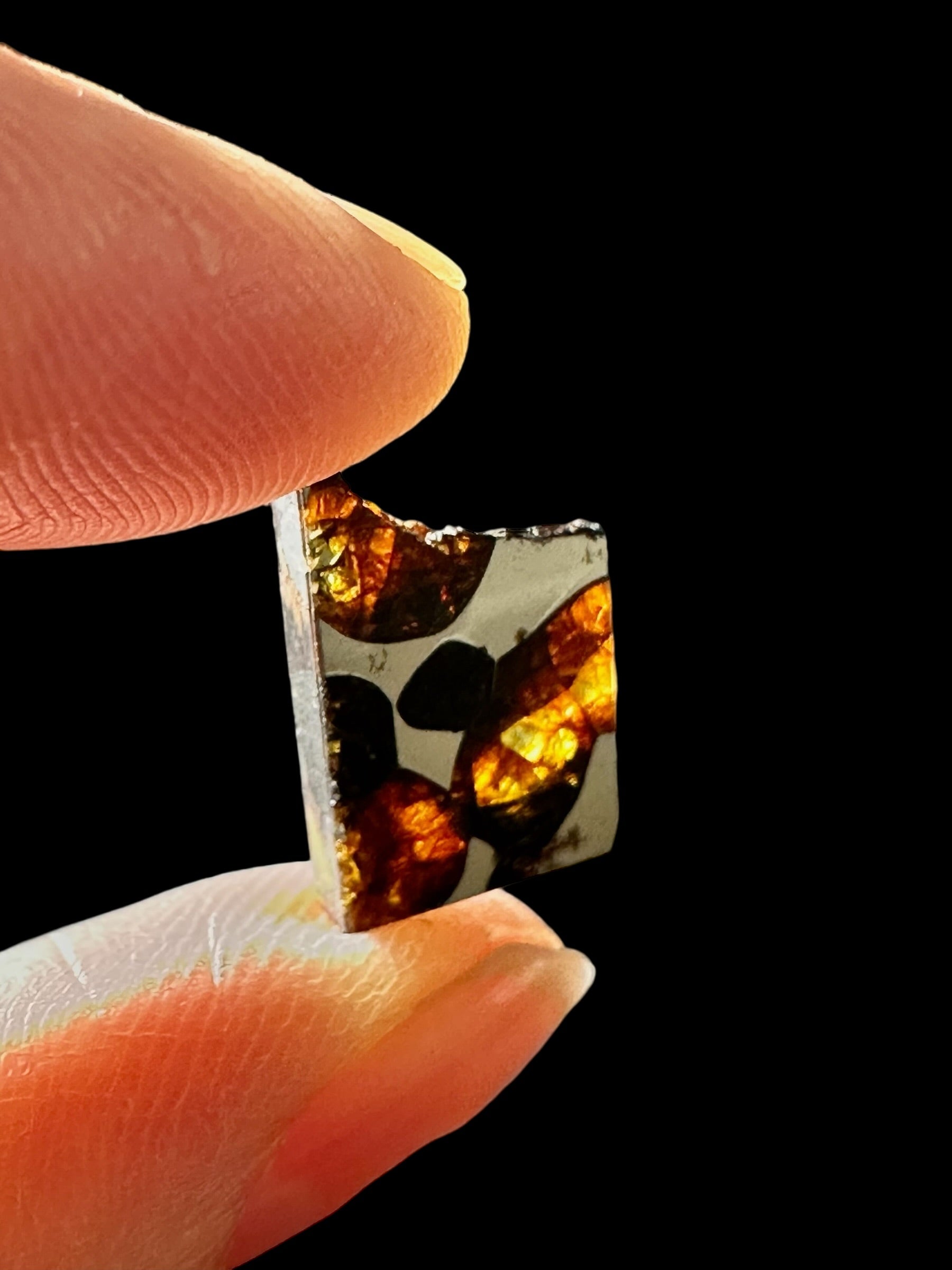 Meteorite Borzya 1,4g – Russia - MEBO26