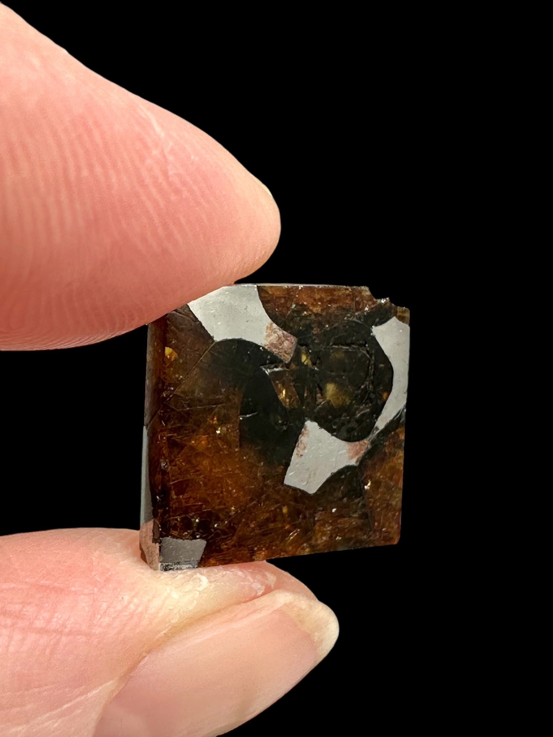 Meteorite Borzya 1,9g – Russia - MEBO28