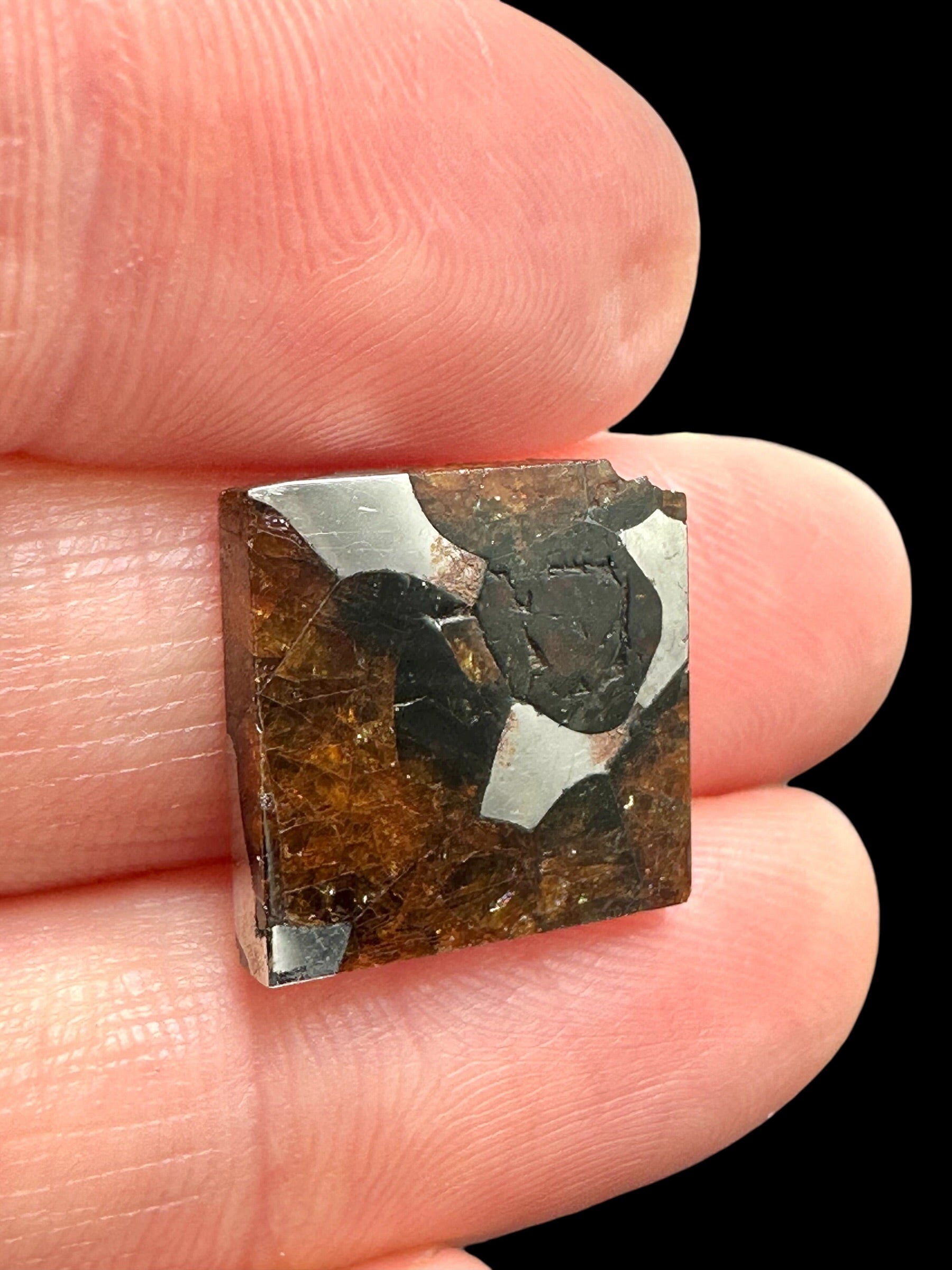 Meteorite Borzya 1,9g – Russia - MEBO28
