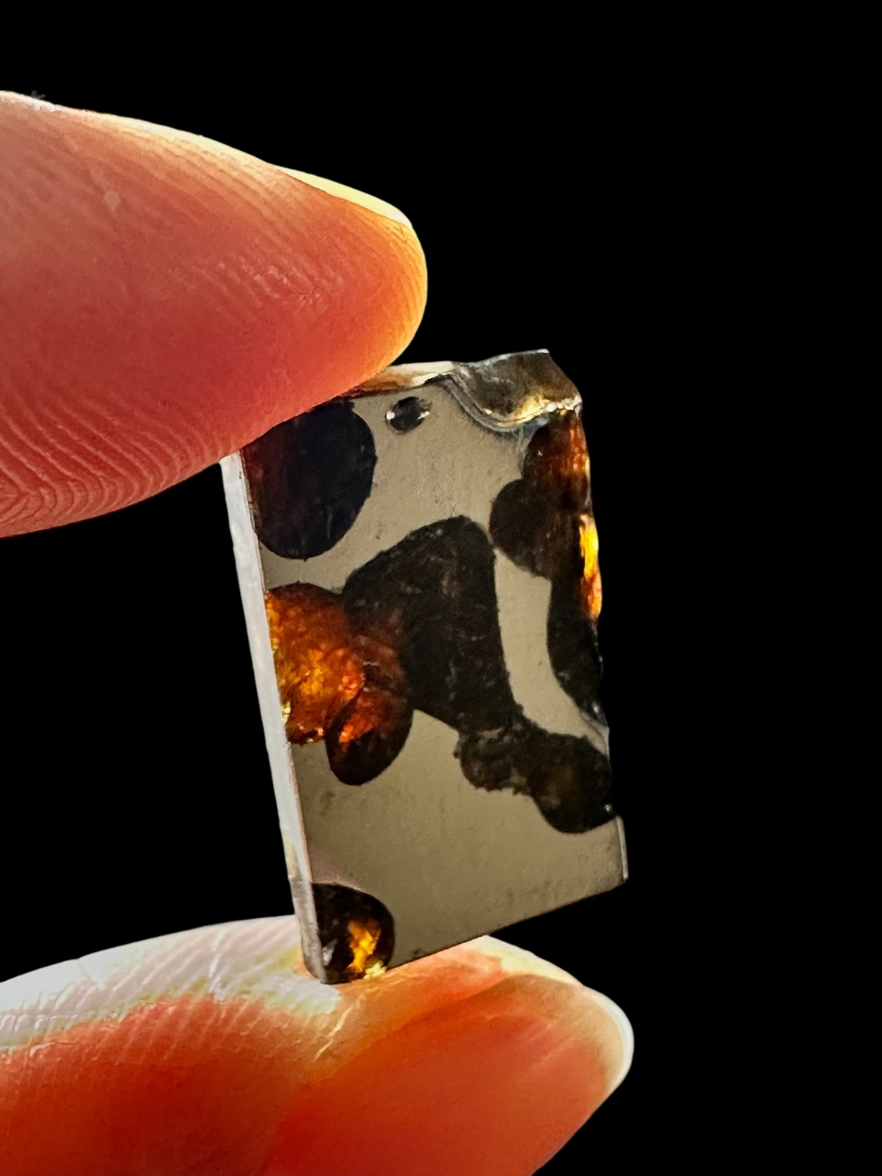 Meteorite Borzya 2,4g – Russia - MEBO29
