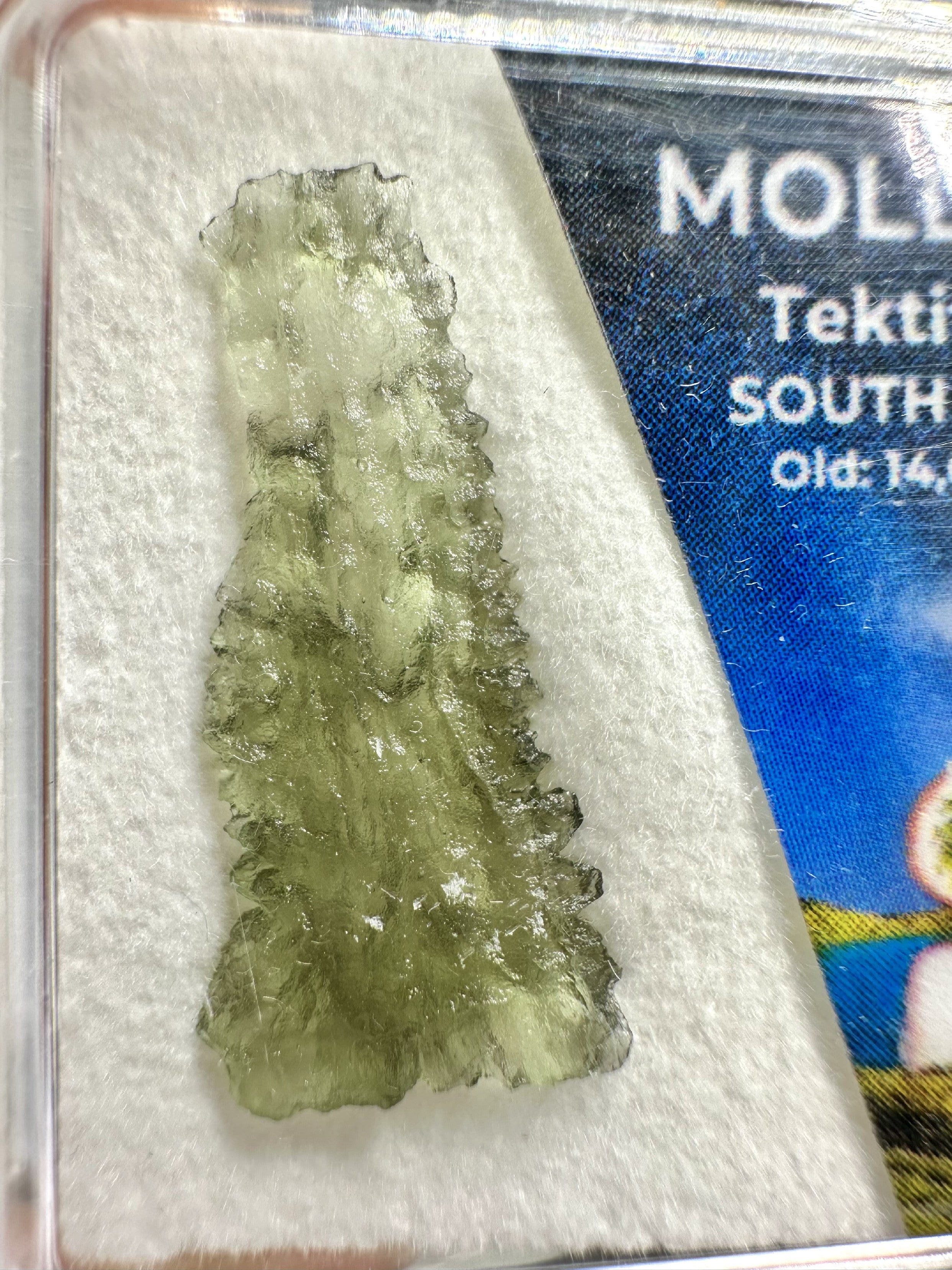 Moldavite in box – Olesnice - VVK72
