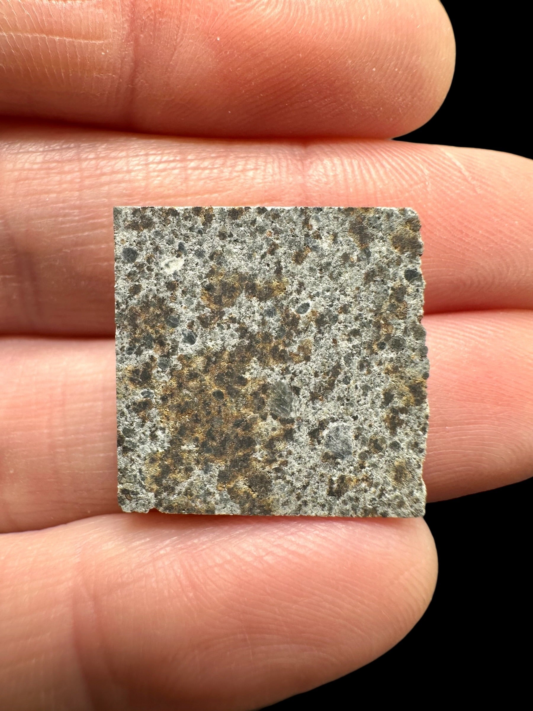 Meteorite El Hammami 1,6g – Mauritania - MEEH34