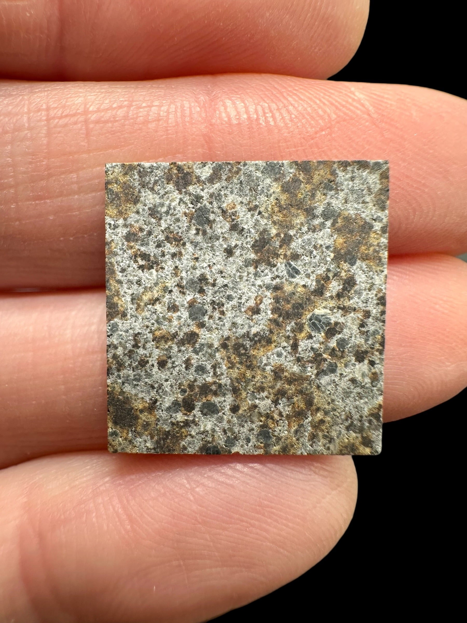Meteorite El Hammami 1,6g – Mauritania - MEEH35