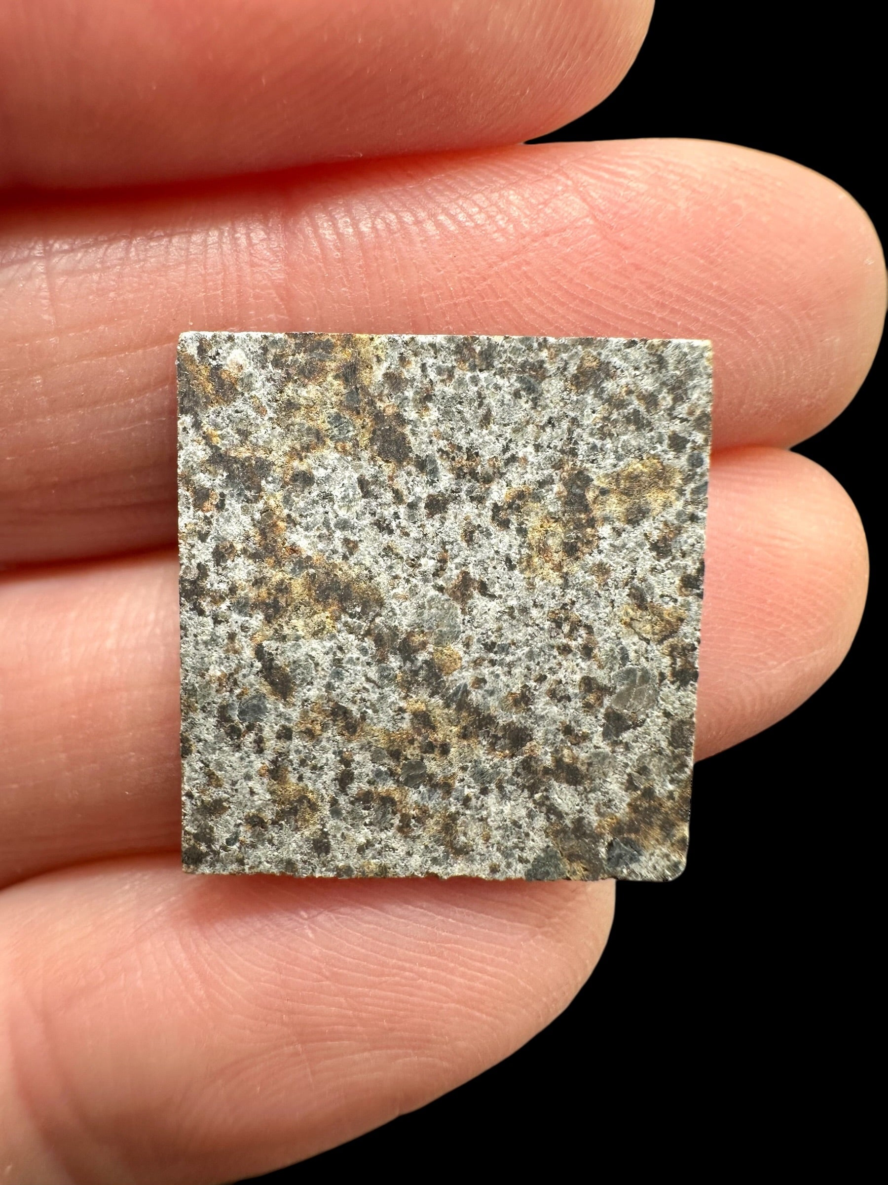 Meteorite El Hammami 1,6g – Mauritania