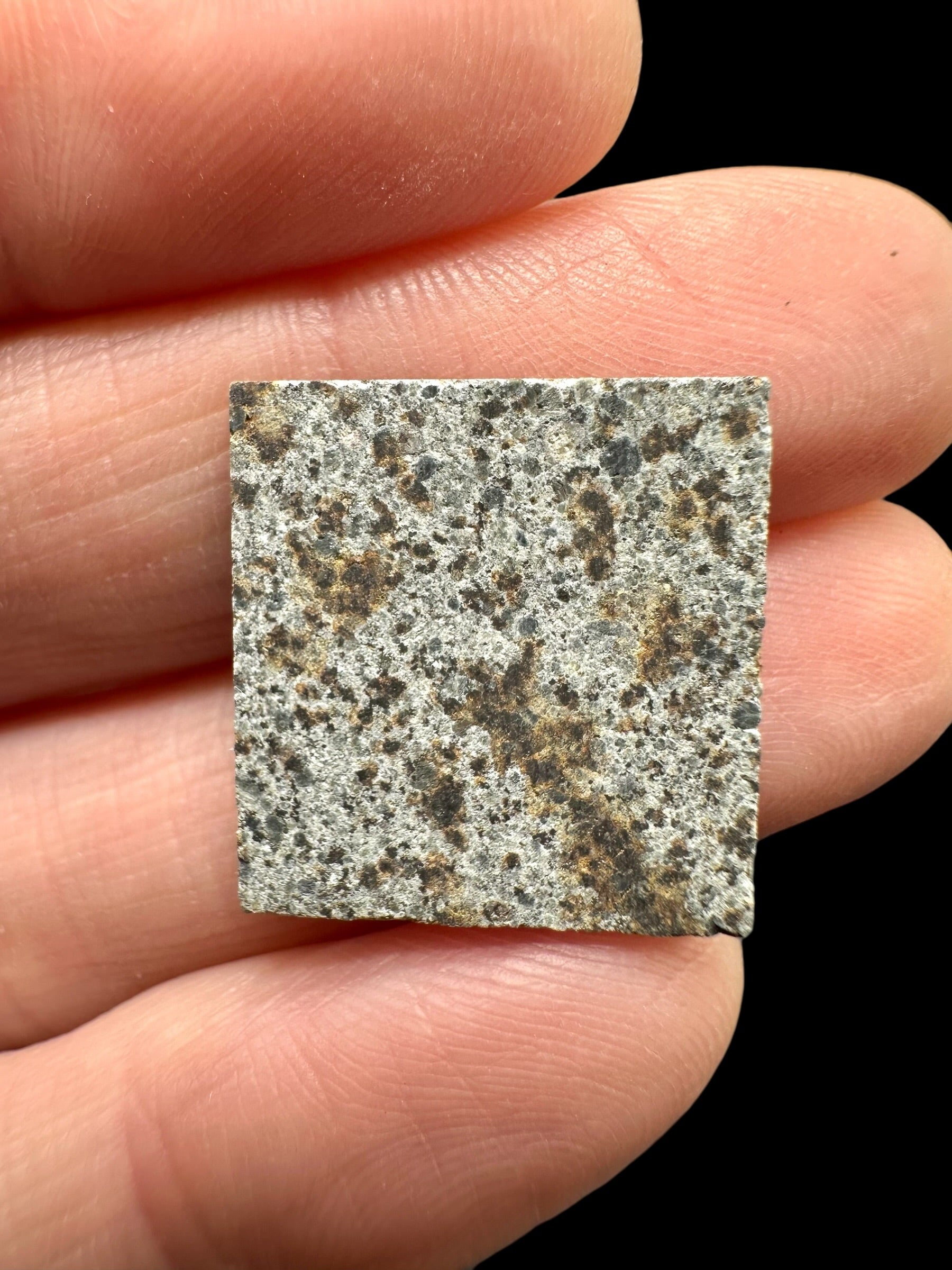 Meteorite El Hammami 1,6g – Mauritania - MEEH36