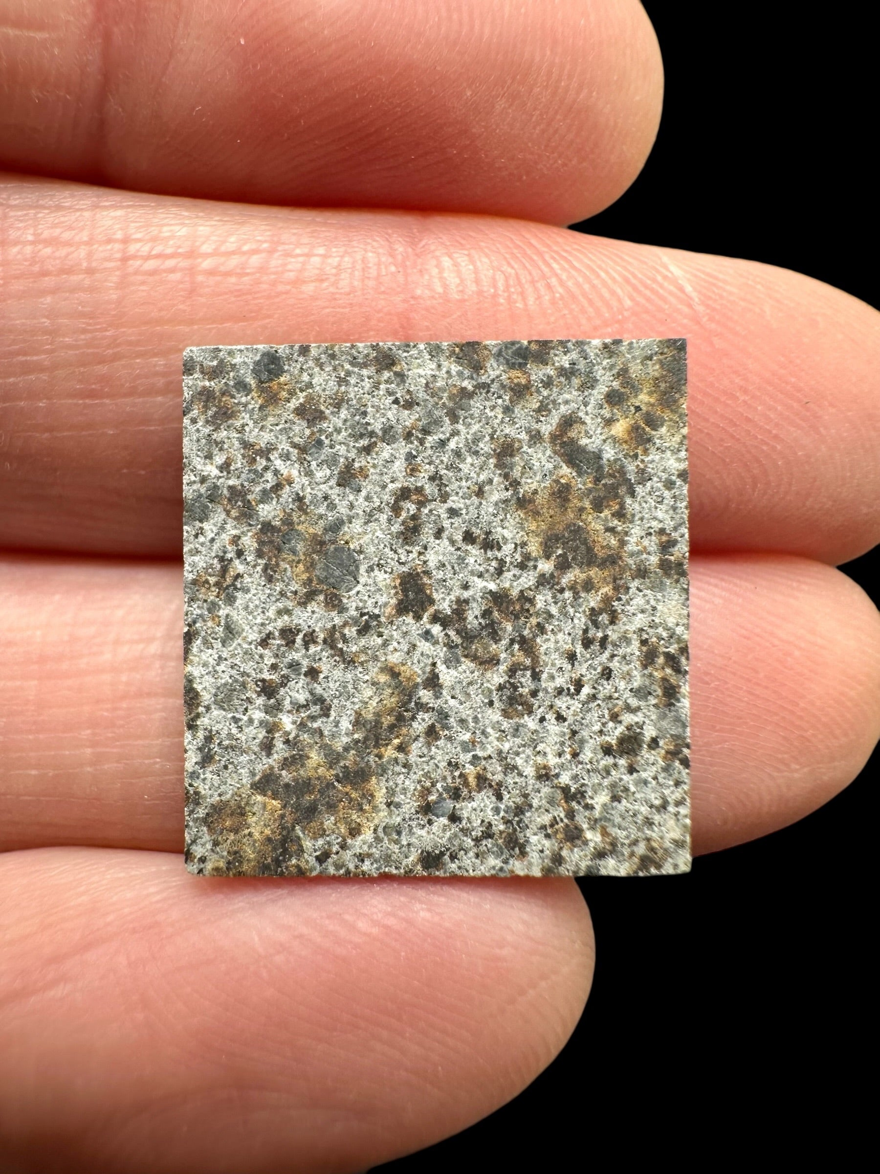 Meteorite El Hammami 1,6g – Mauritania
