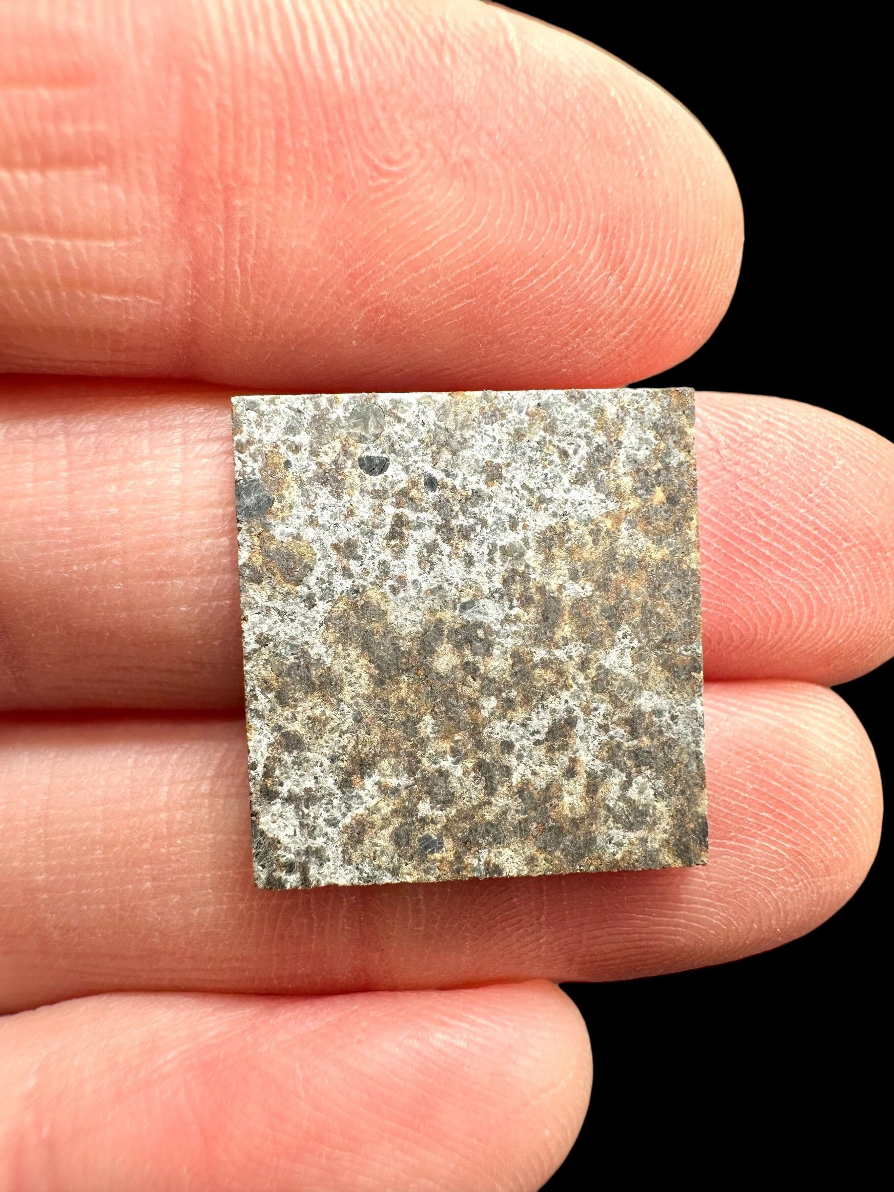 Meteorite El Hammami 1,6g – Mauritania - MEEH37