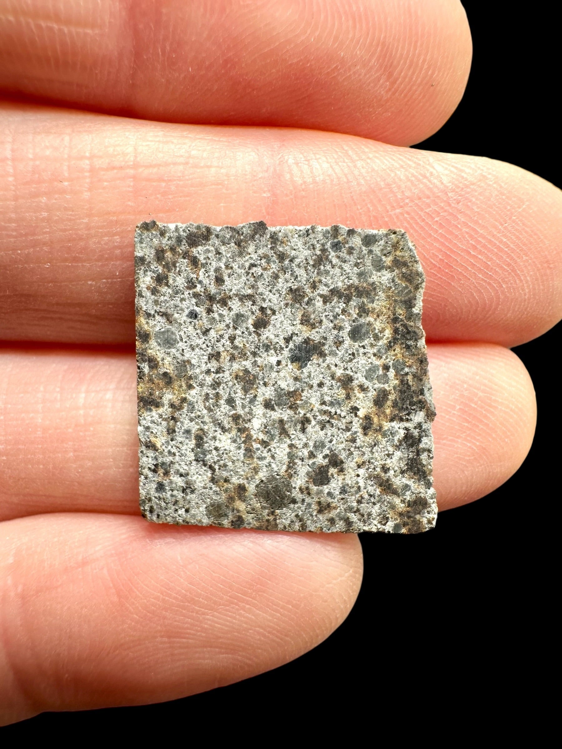 Meteorite El Hammami 1,6g – Mauritania - MEEH42