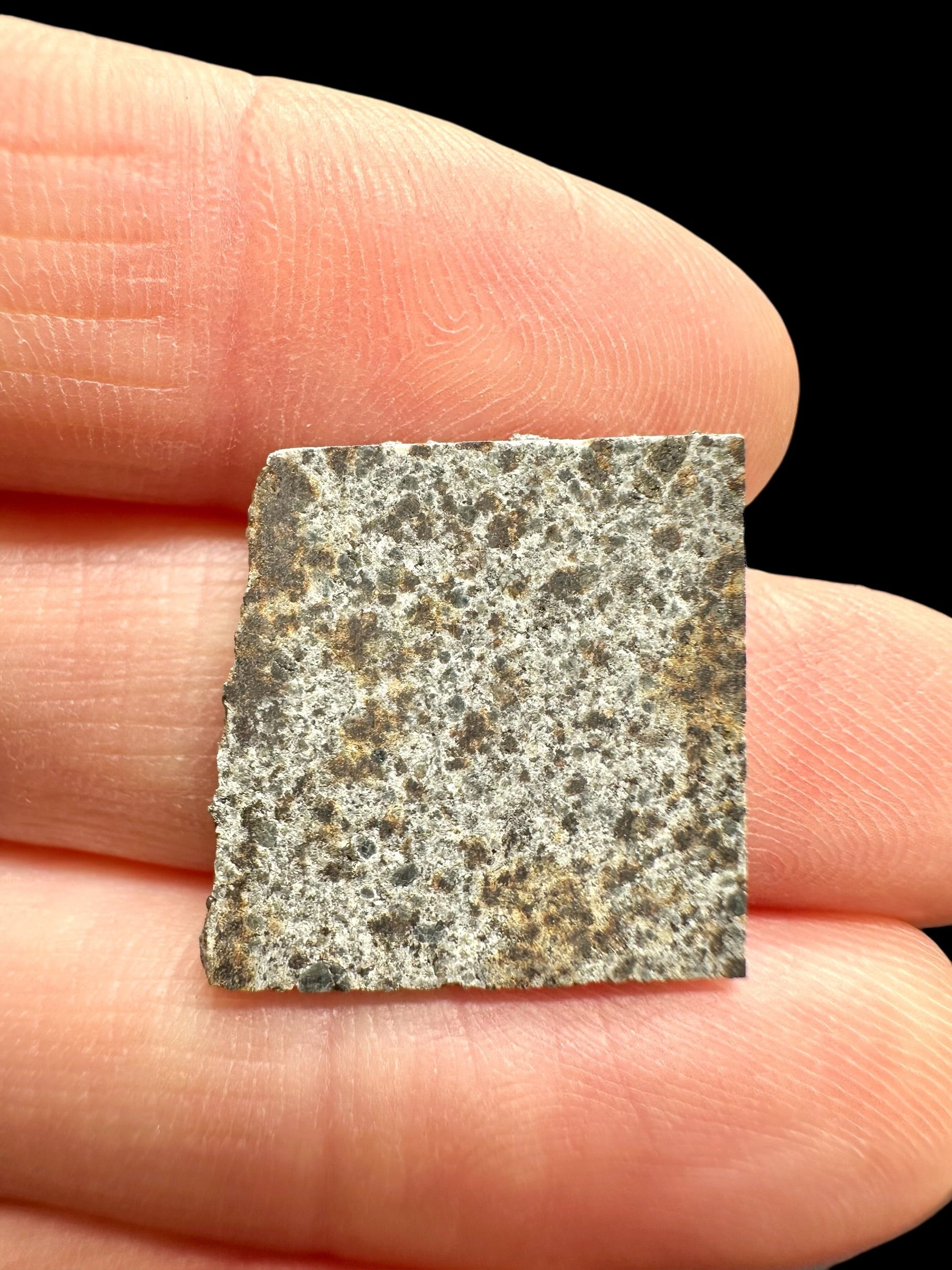 Meteorite El Hammami 1,6g – Mauritania