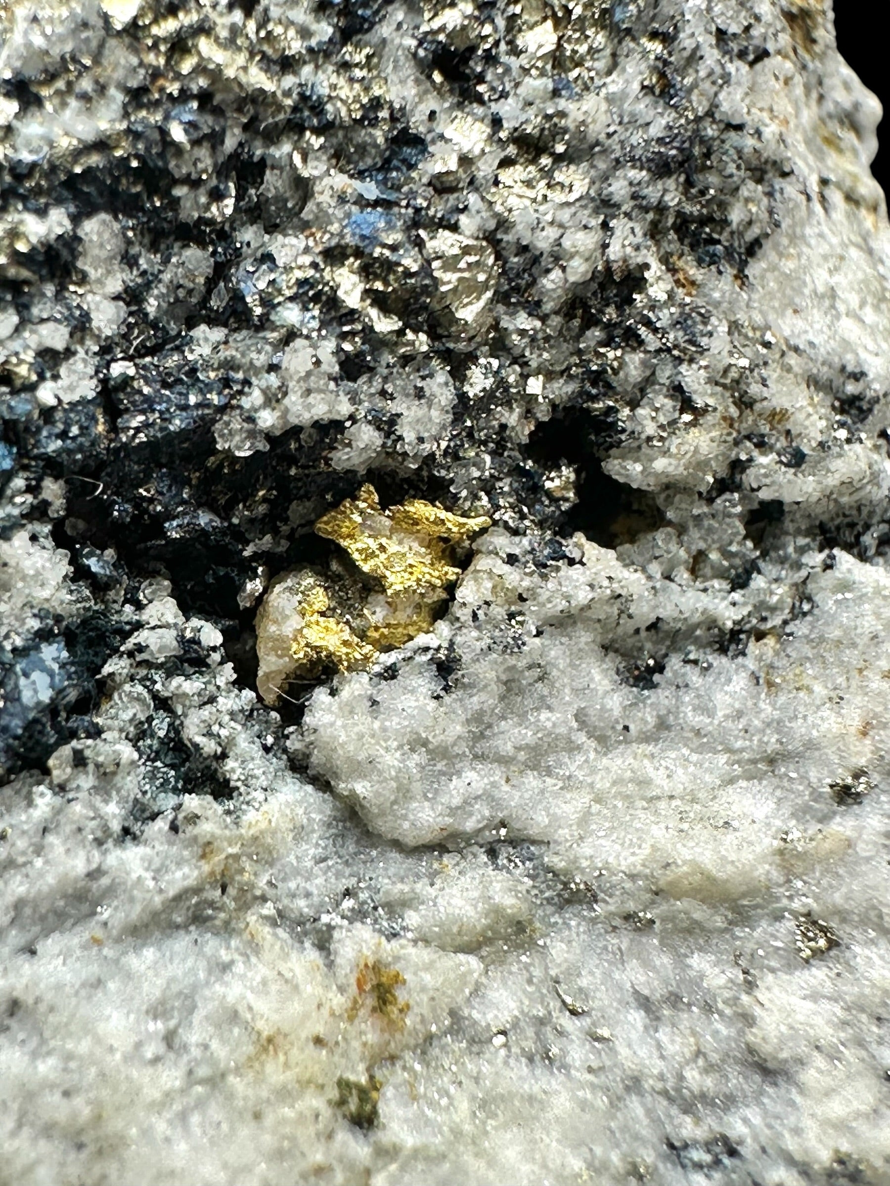 Gold – Zlate hory, CZ - ZL199