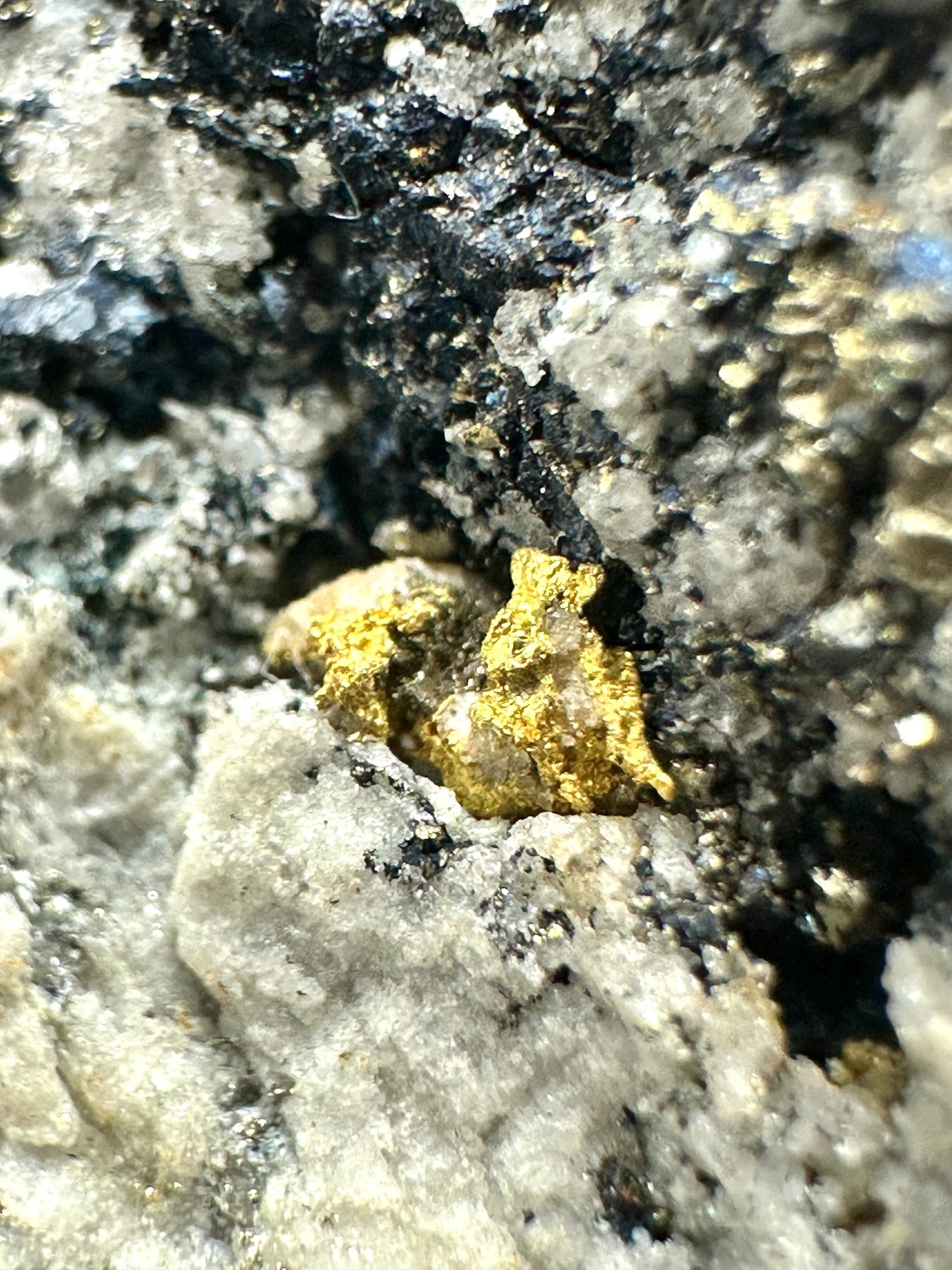 Gold – Zlate hory, CZ - ZL199
