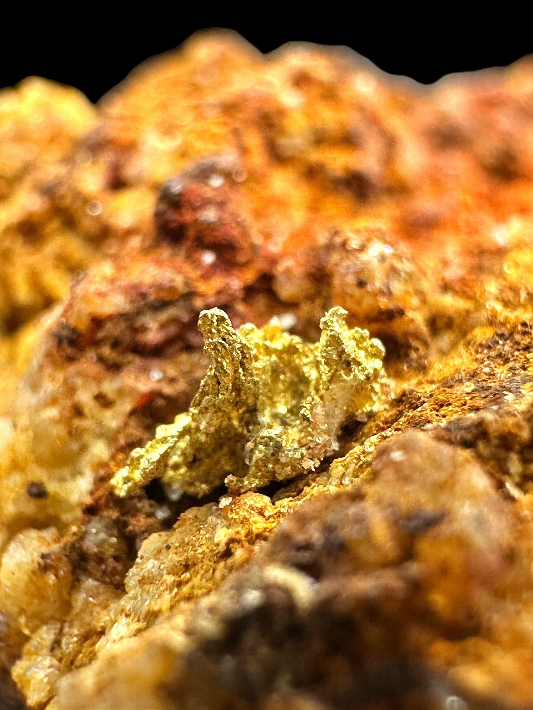 Gold – Zlate hory, CZ - ZL200