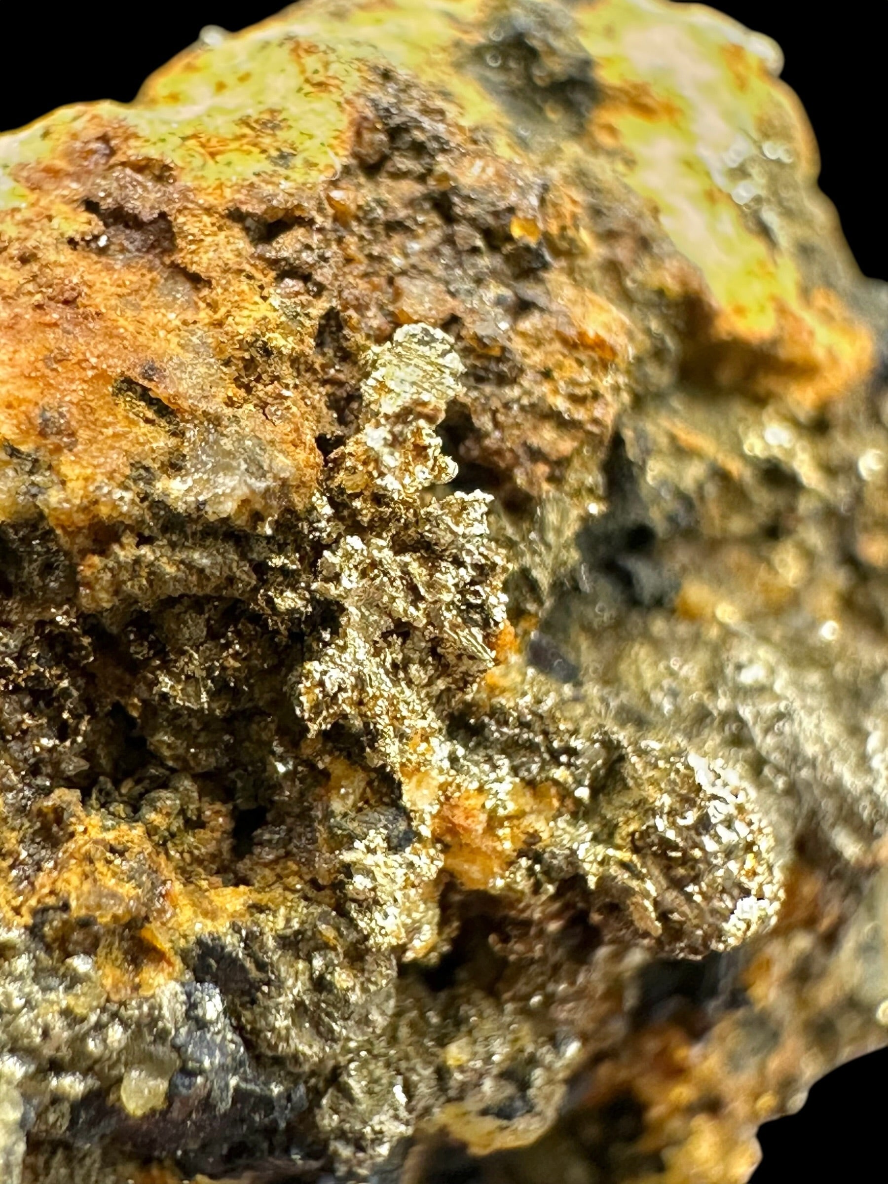 Gold – Zlate hory, CZ - ZL201