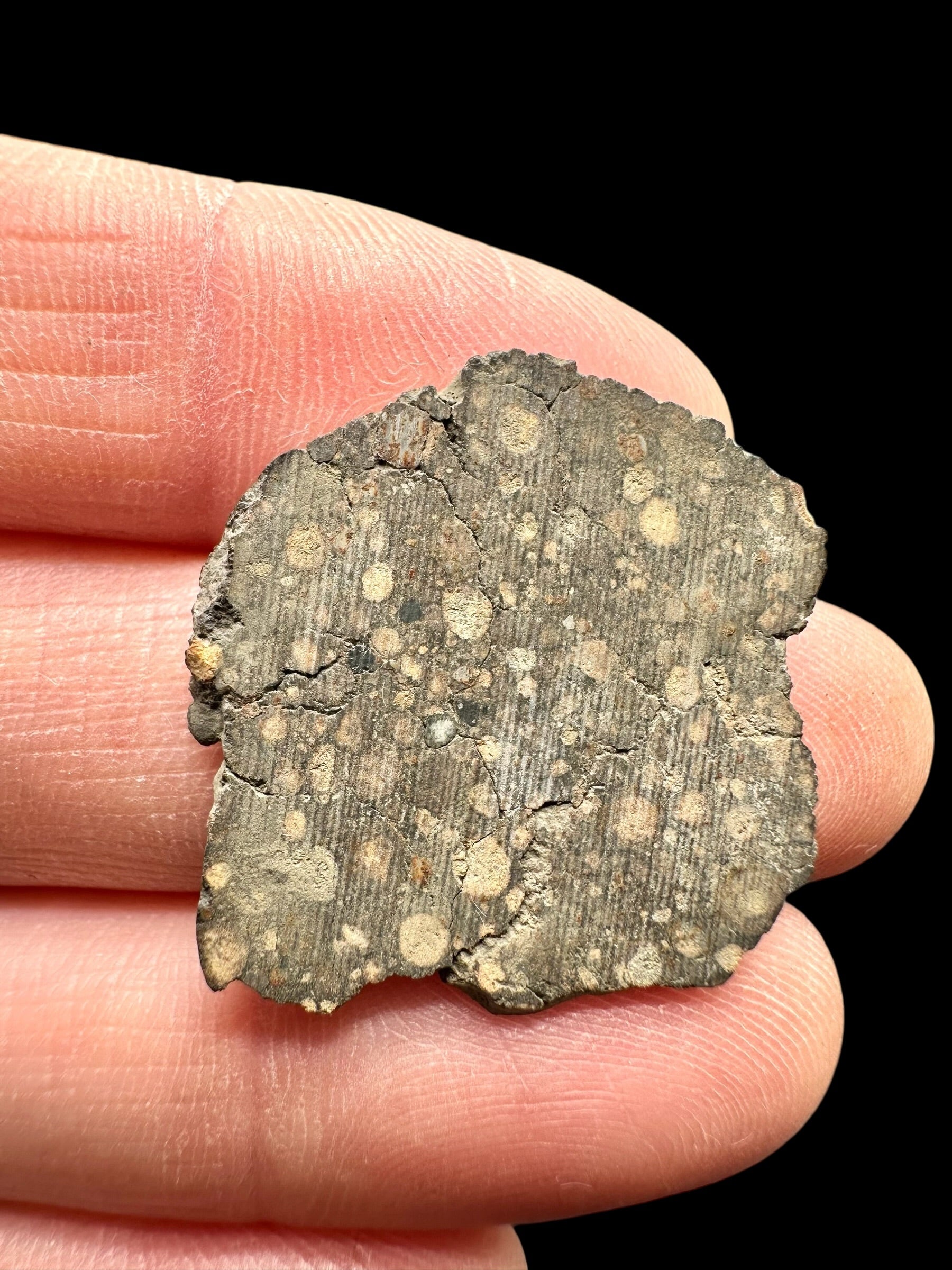 Meteorite Erg Chech 003 – 1,8g – Algeria - MEECH46