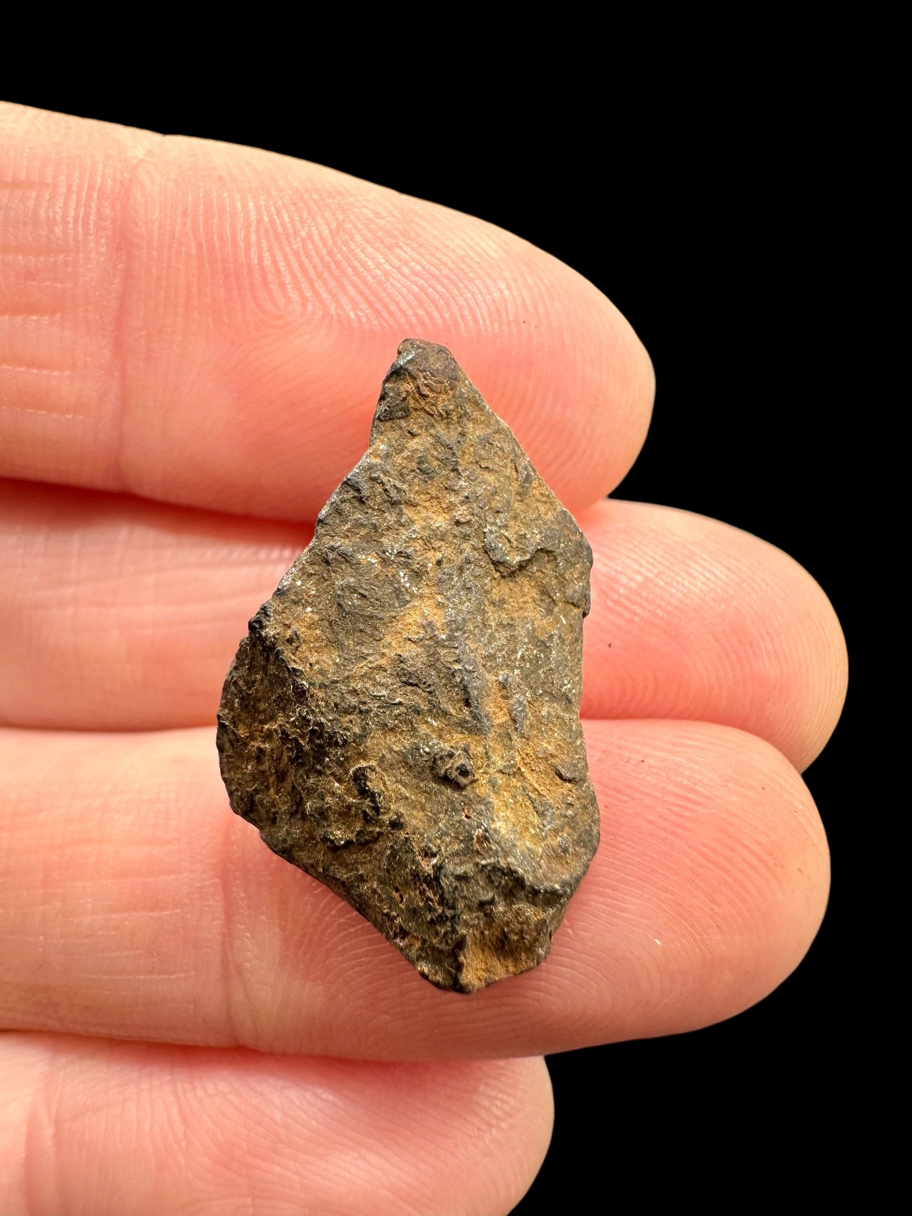 Meteorite Canyon Diablo 5,4g – Arizona, USA - MECD69