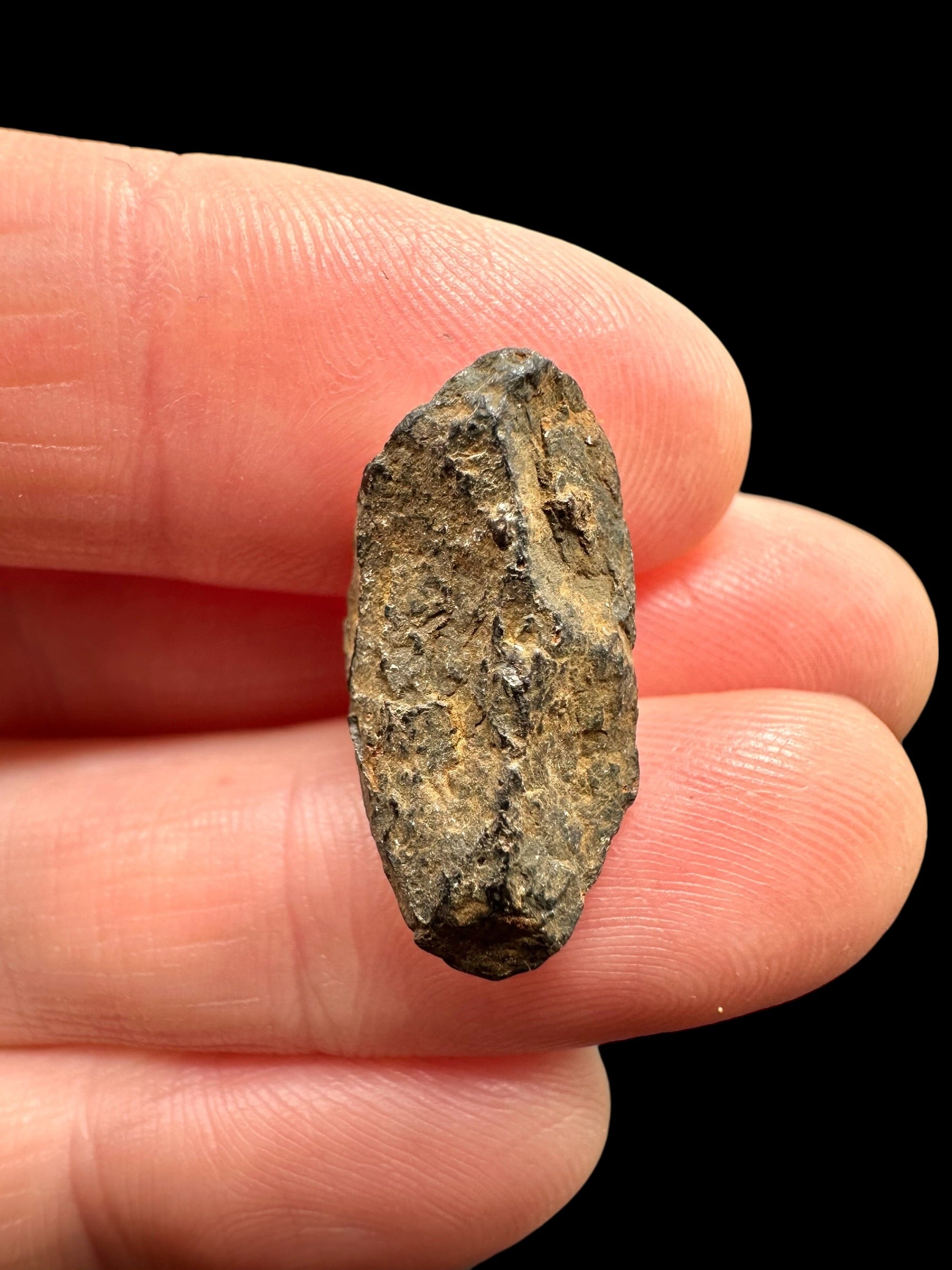 Meteorite Canyon Diablo 4,3g – Arizona, USA