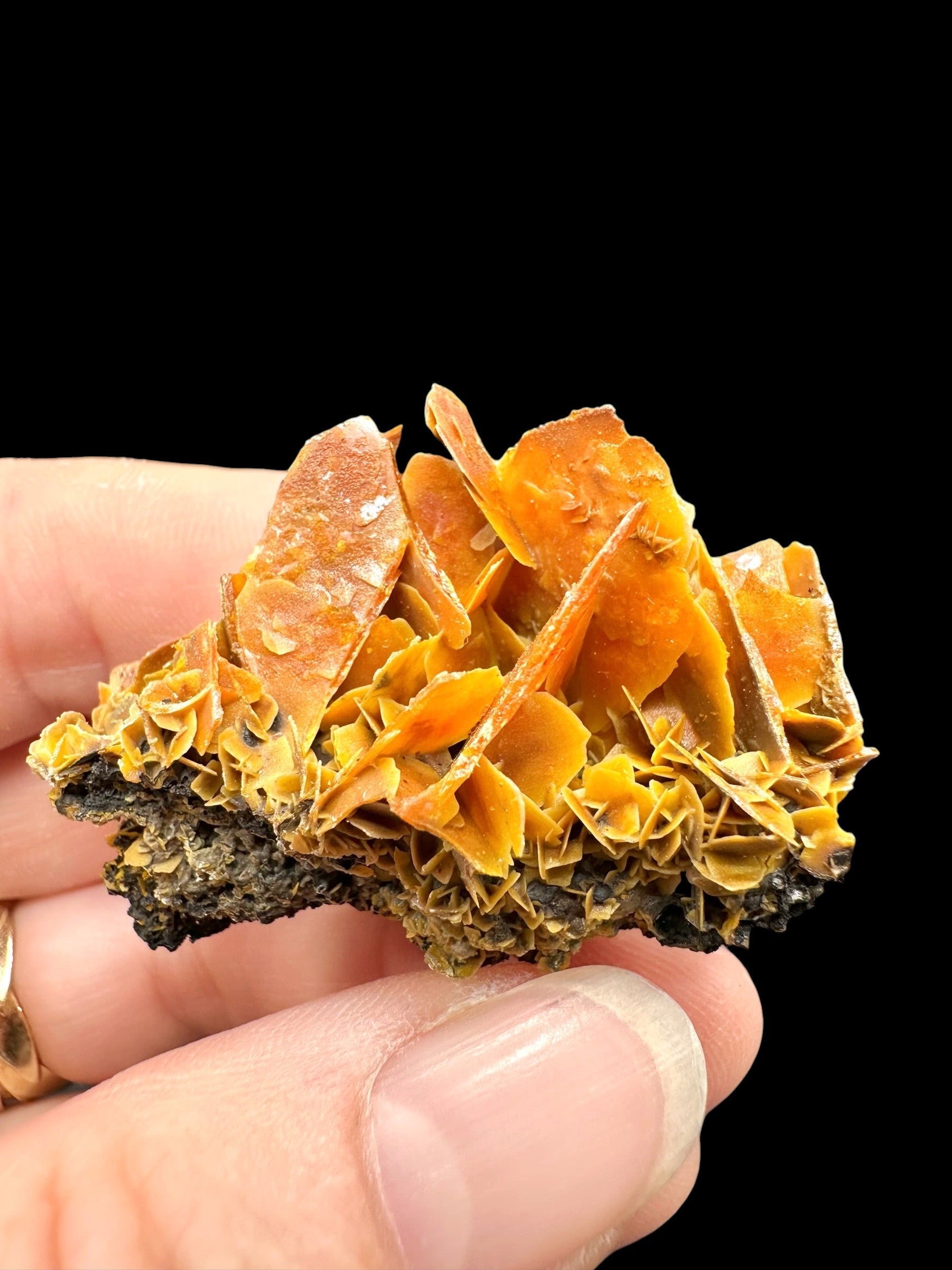Wulfenite – Kuruktag Mountains – Xinjiang Uygur, China - WY008