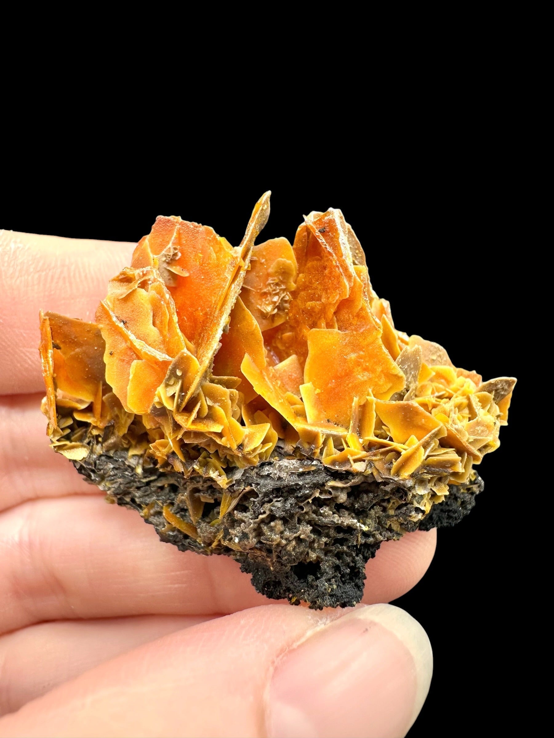 Wulfenite – Kuruktag Mountains – Xinjiang Uygur, China - WY008