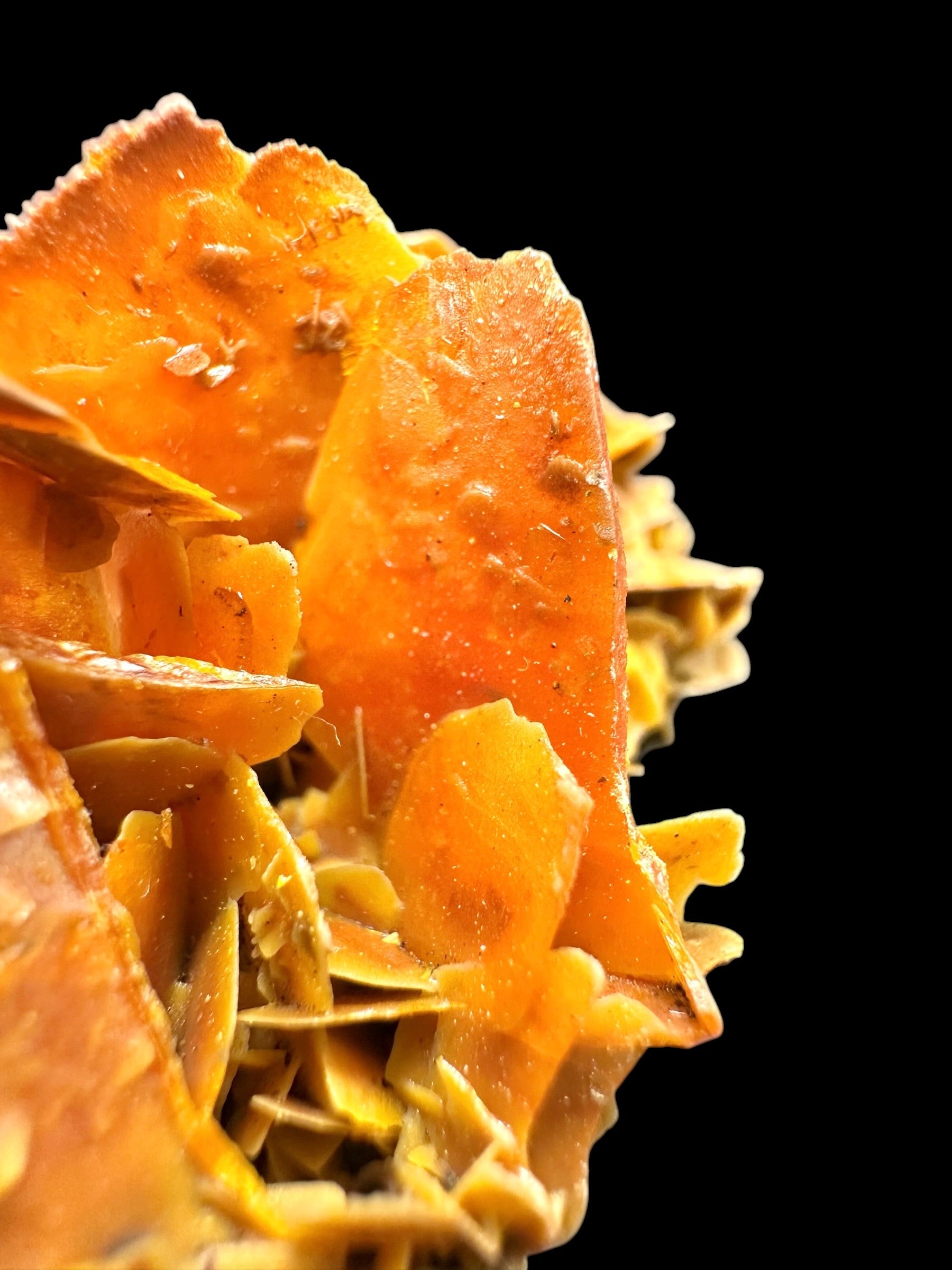 Wulfenite – Kuruktag Mountains – Xinjiang Uygur, China - WY008