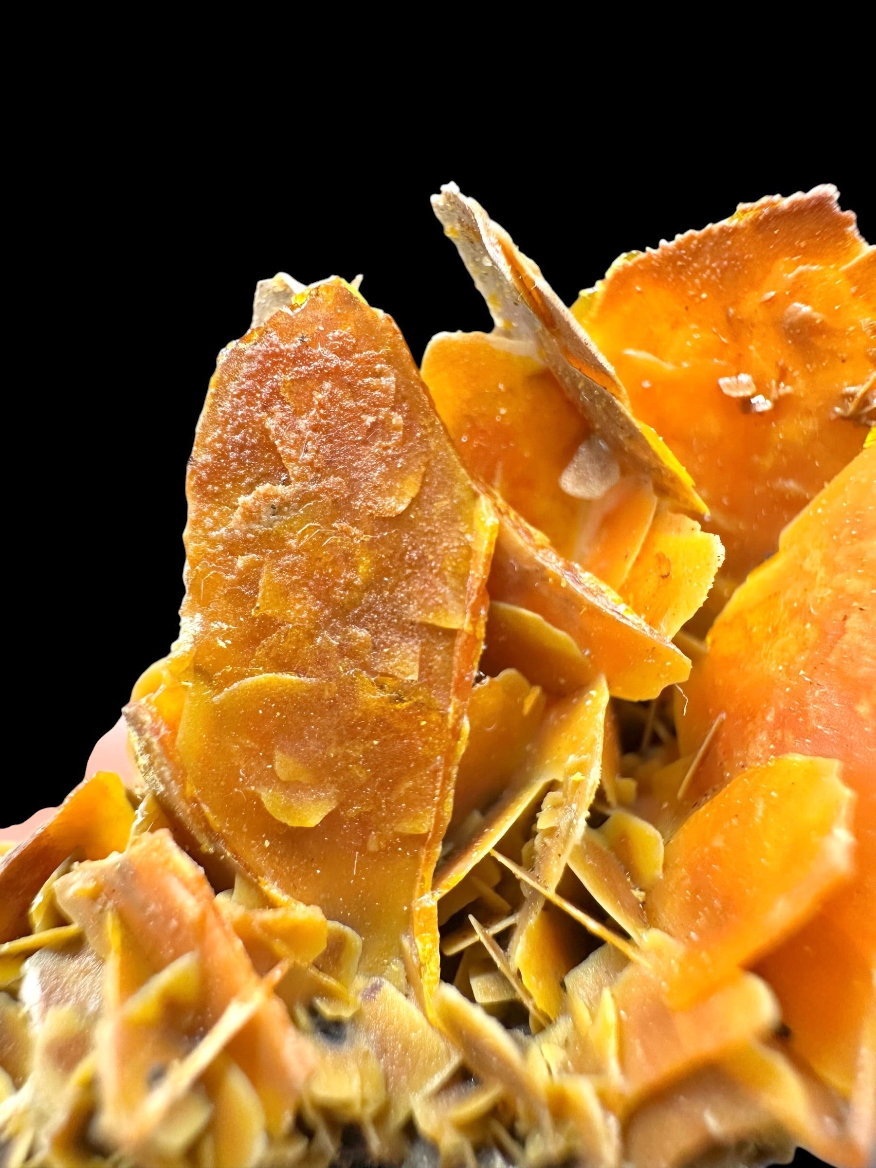 Wulfenite – Kuruktag Mountains – Xinjiang Uygur, China - WY008