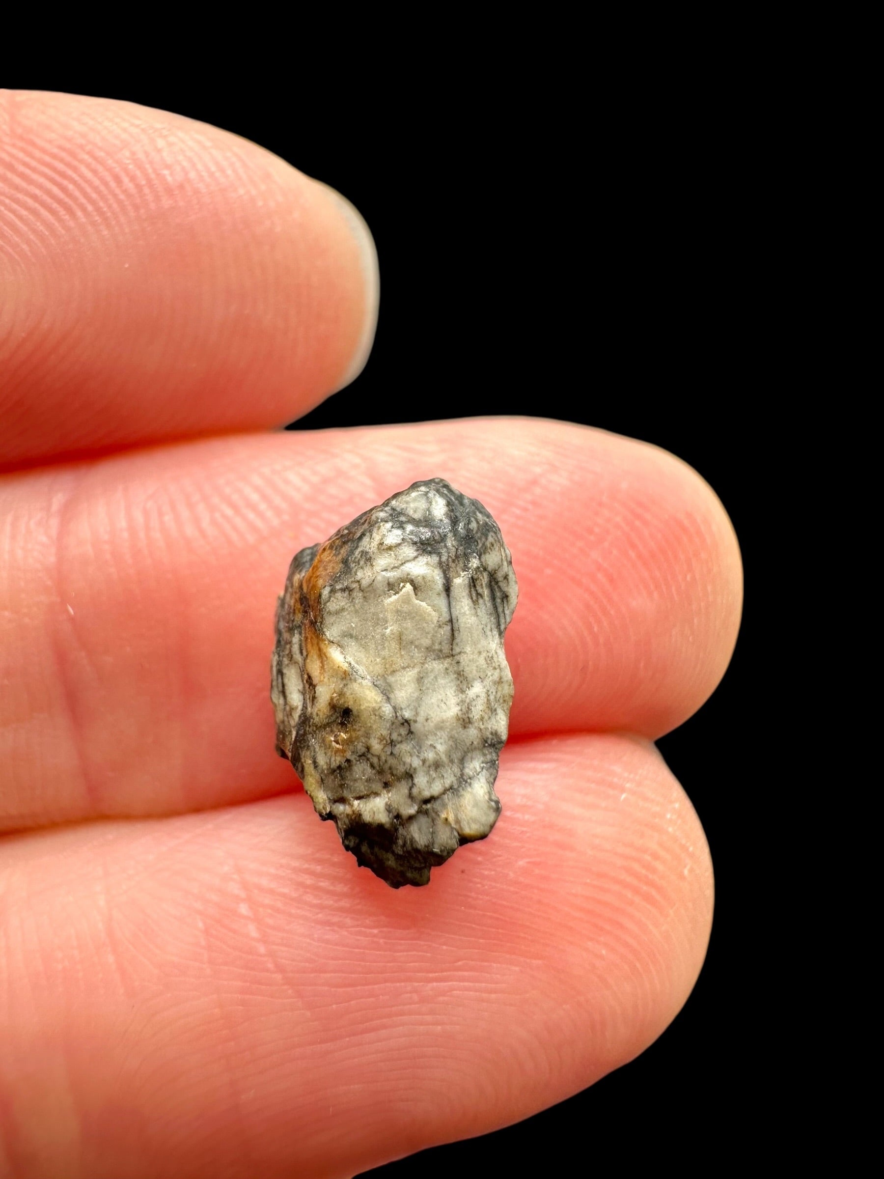 Meteorite Djoua 001 – 0,5g – Algeria - MEDJ24