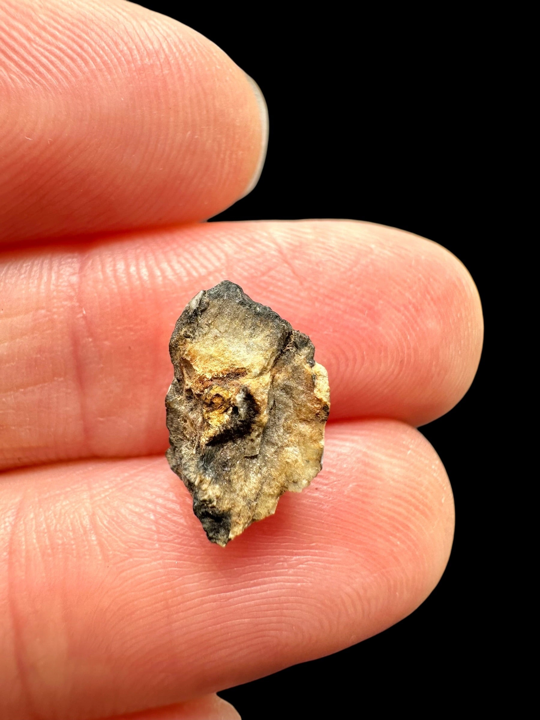Meteorite Djoua 001 – 0,5g – Algeria - MEDJ24