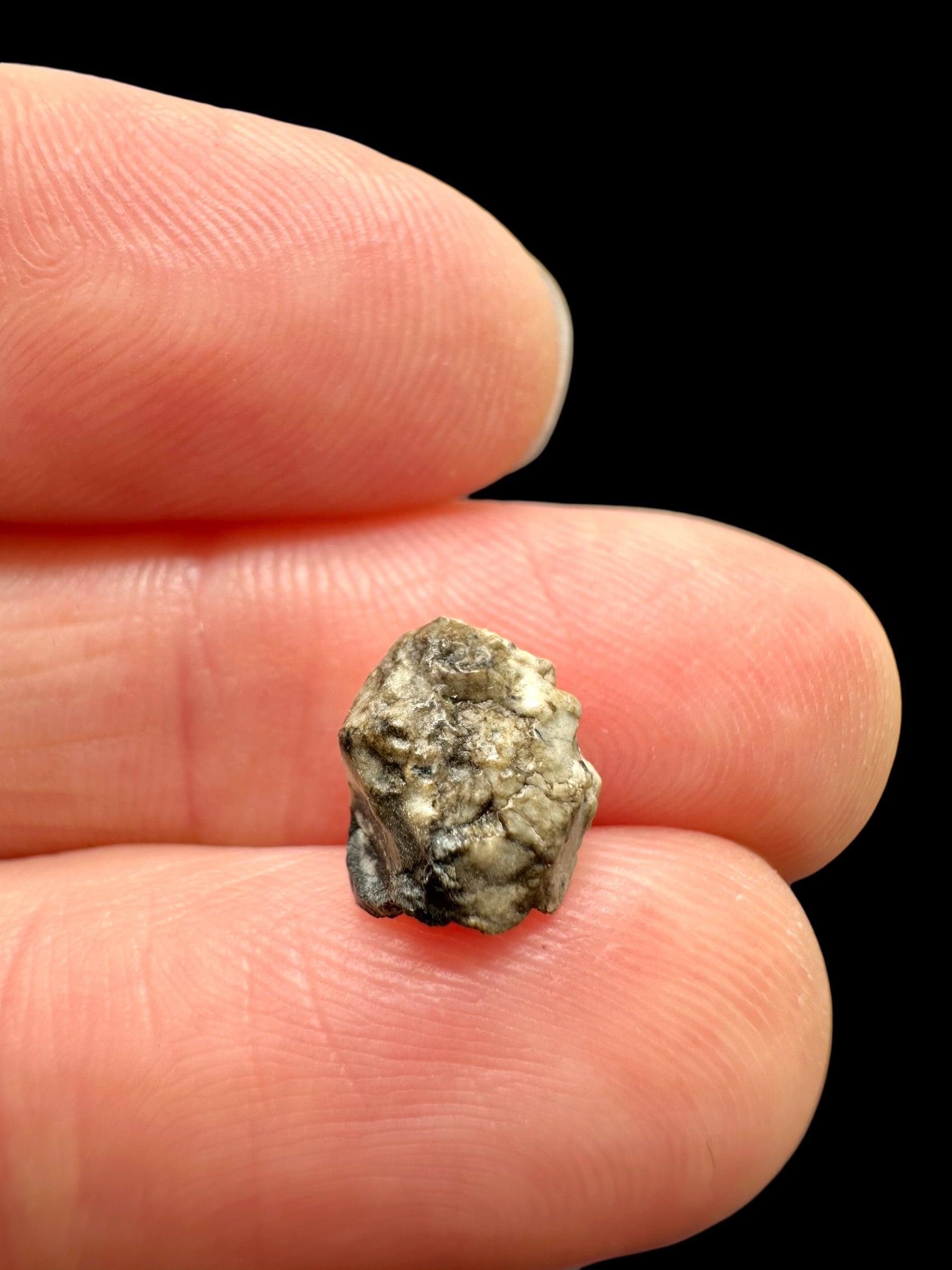 Meteorite Djoua 001 – 0,3g – Algeria - MEDJ25