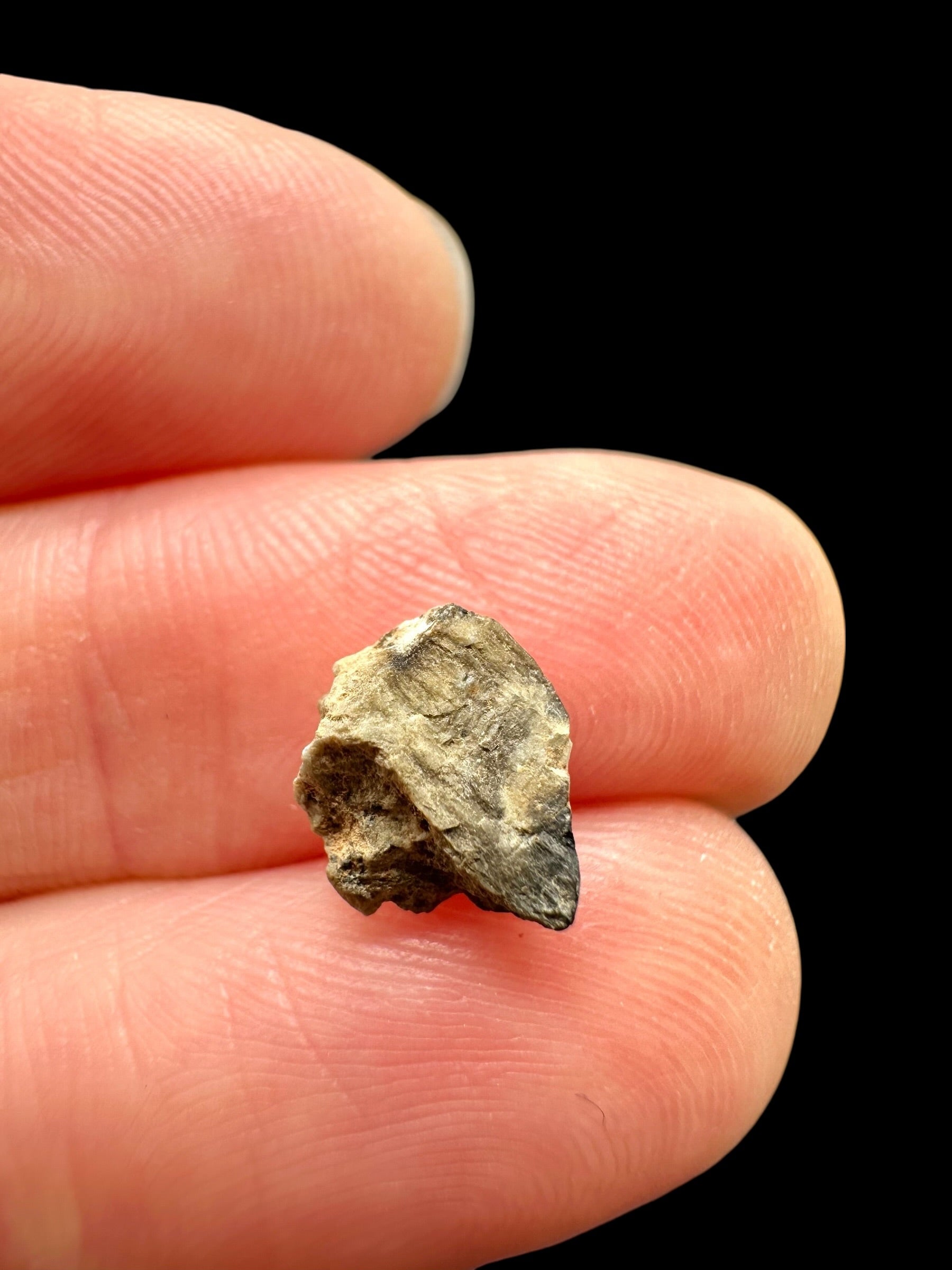 Meteorite Djoua 001 – 0,3g – Algeria - MEDJ25