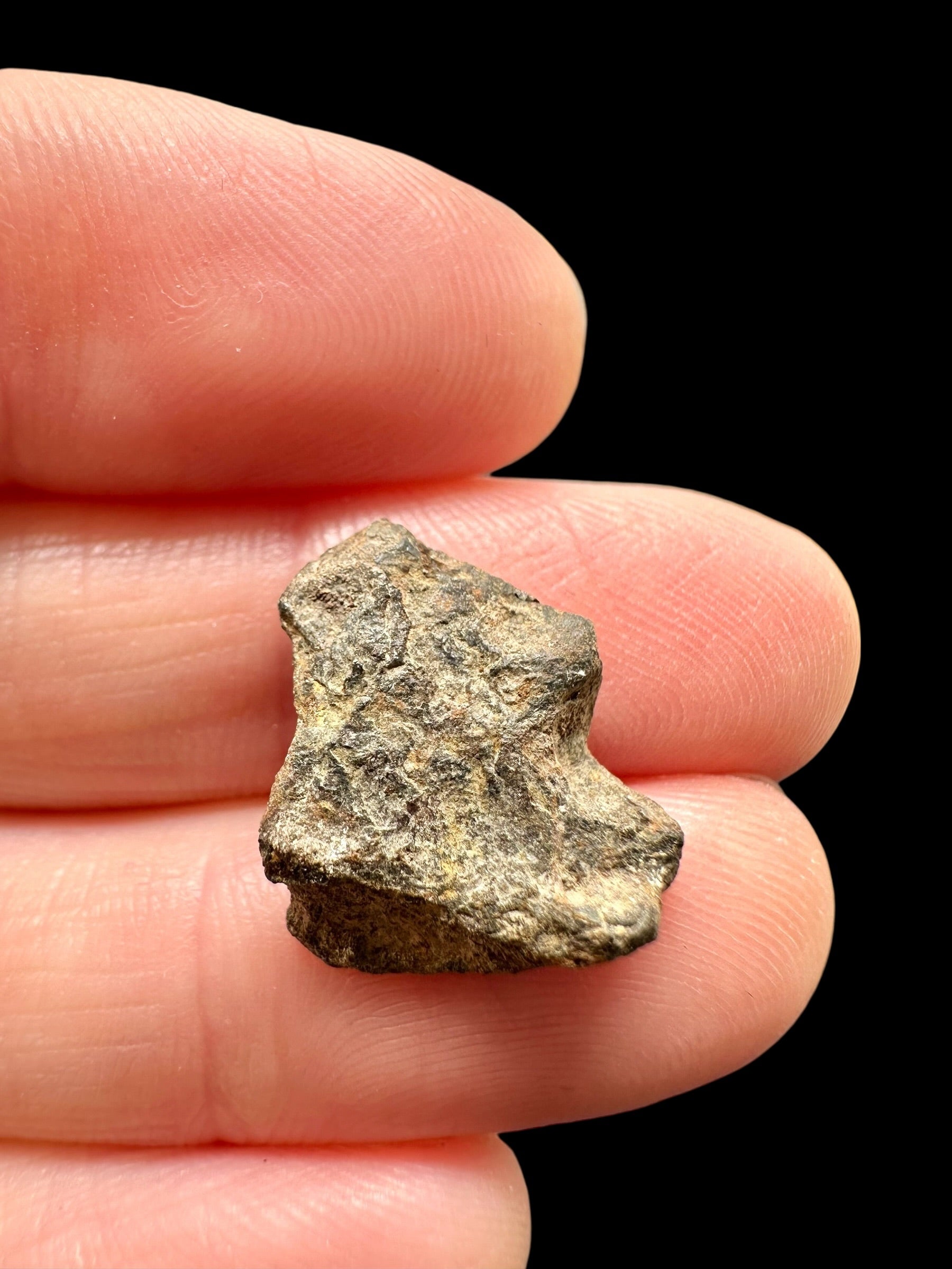 Meteorite Canyon Diablo 2g – Arizona, USA - MECD81