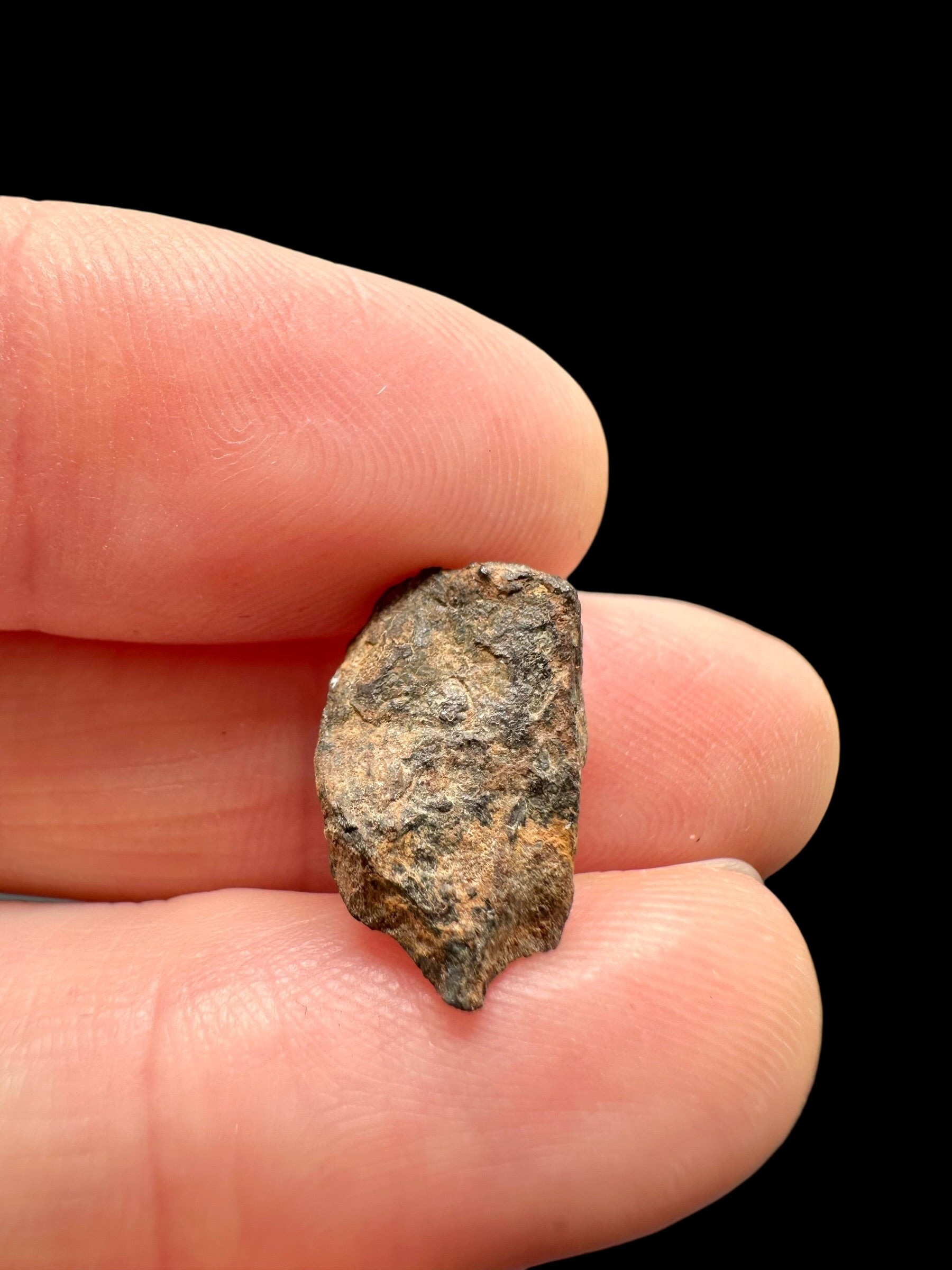 Meteorite Canyon Diablo 2g – Arizona, USA - MECD82