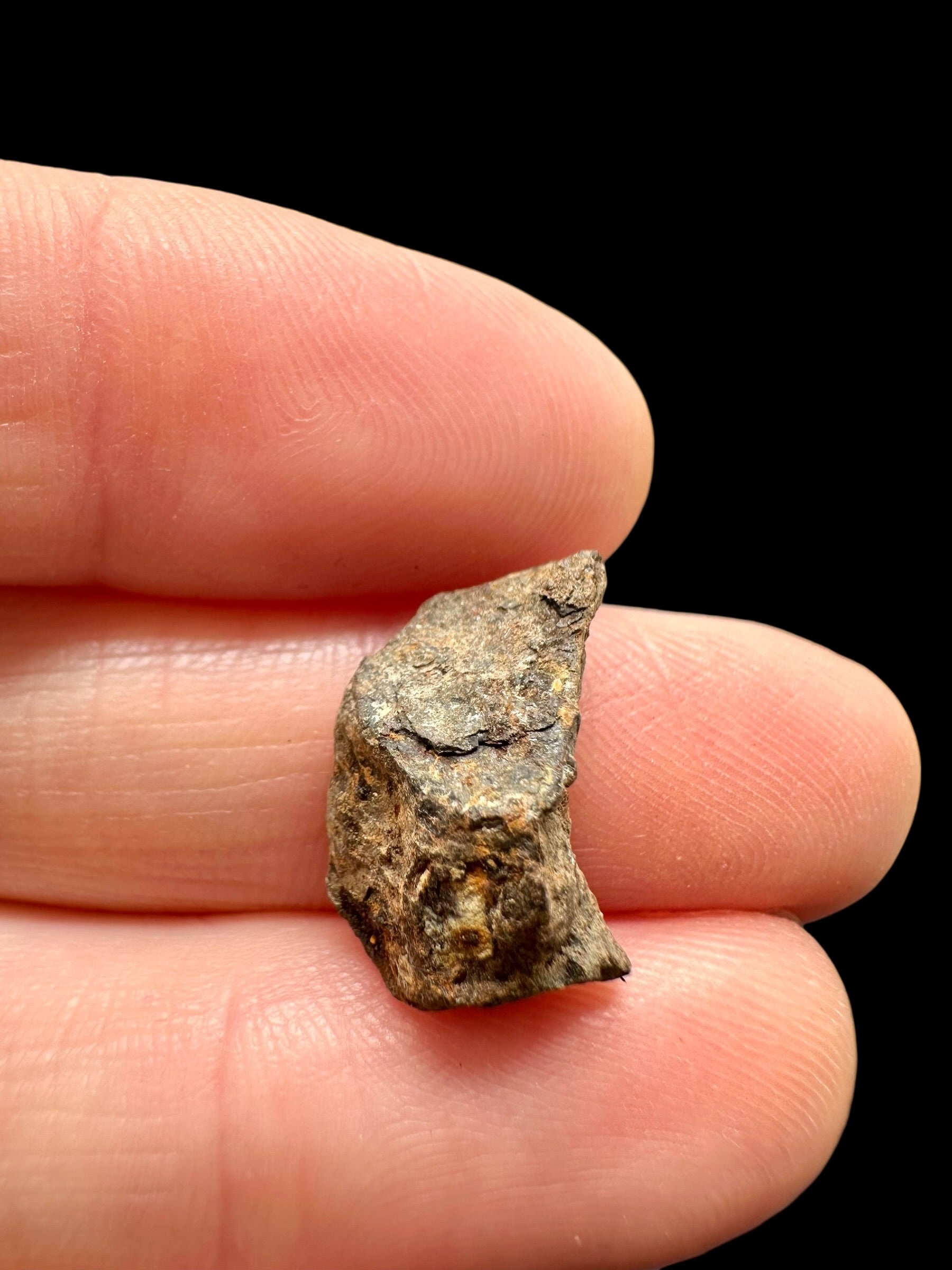 Meteorite Canyon Diablo 2,3g – Arizona, USA - MECD83