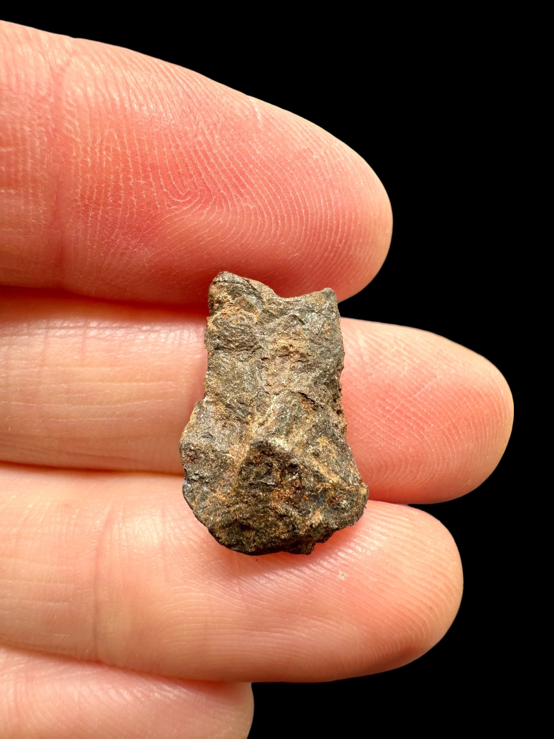 Meteorite Canyon Diablo 2,3g – Arizona, USA - MECD84