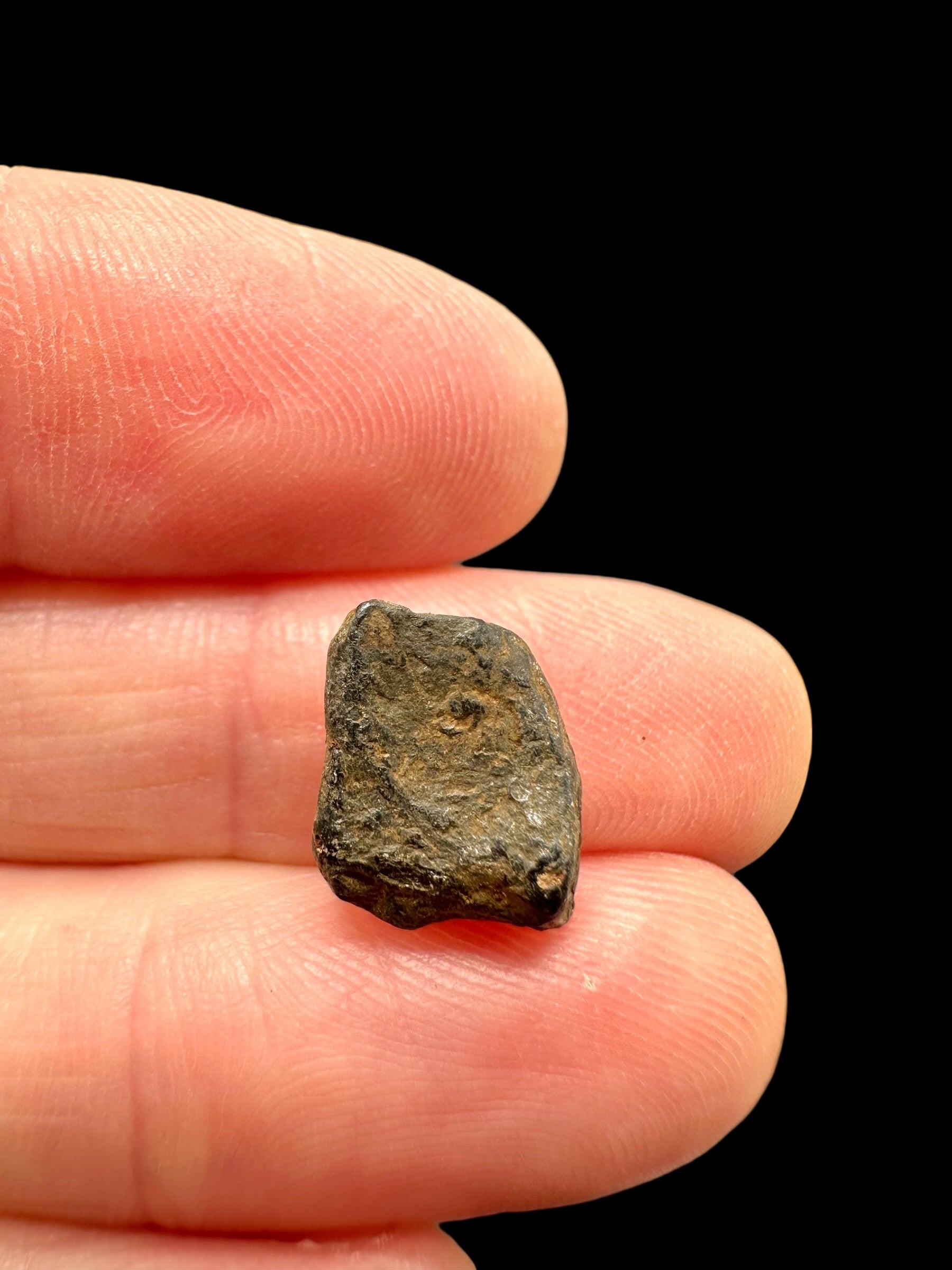Meteorite Canyon Diablo 1,5g – Arizona, USA - MECD85
