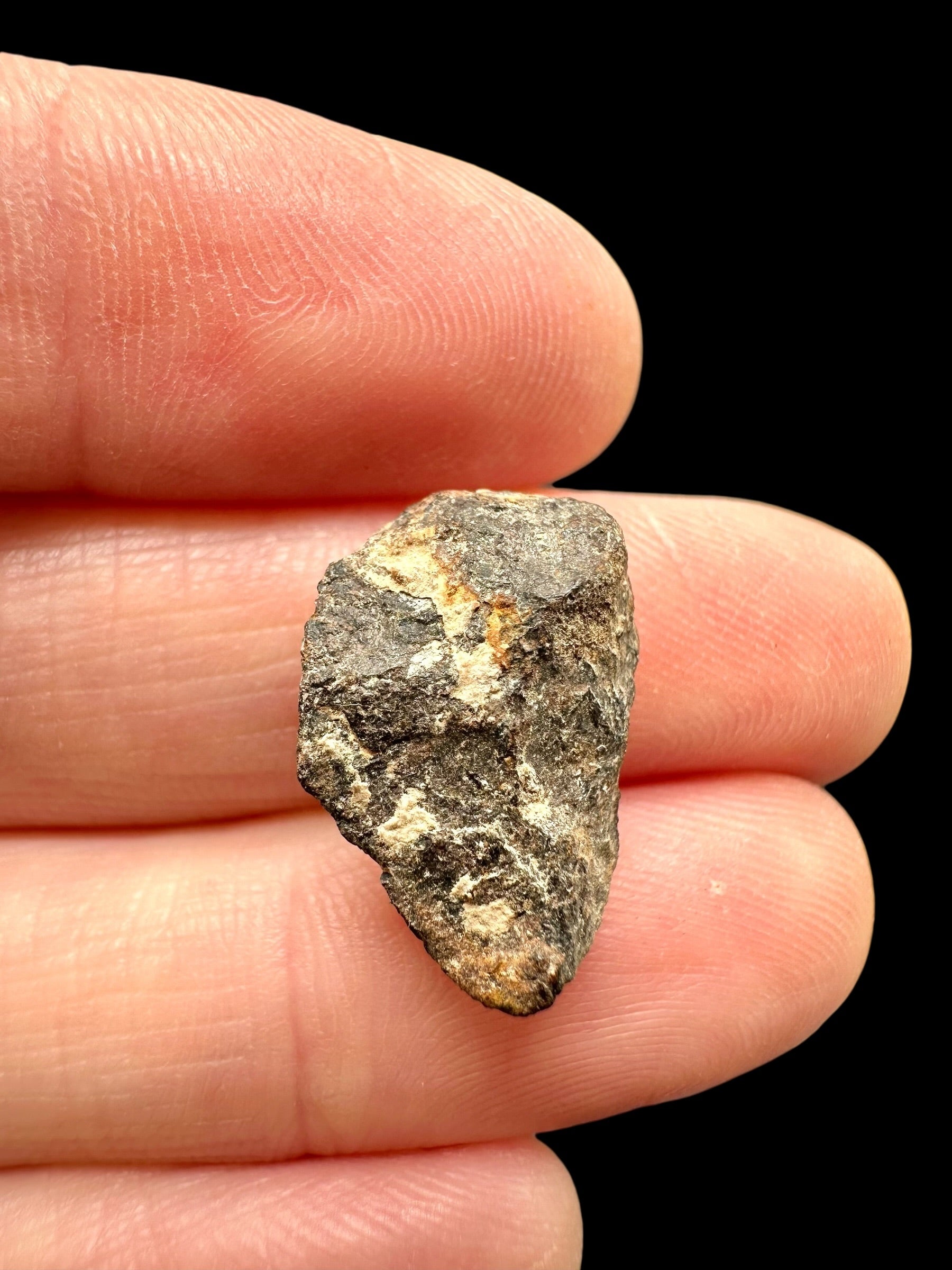 Meteorite Canyon Diablo 3,7g – Arizona, USA - MECD86