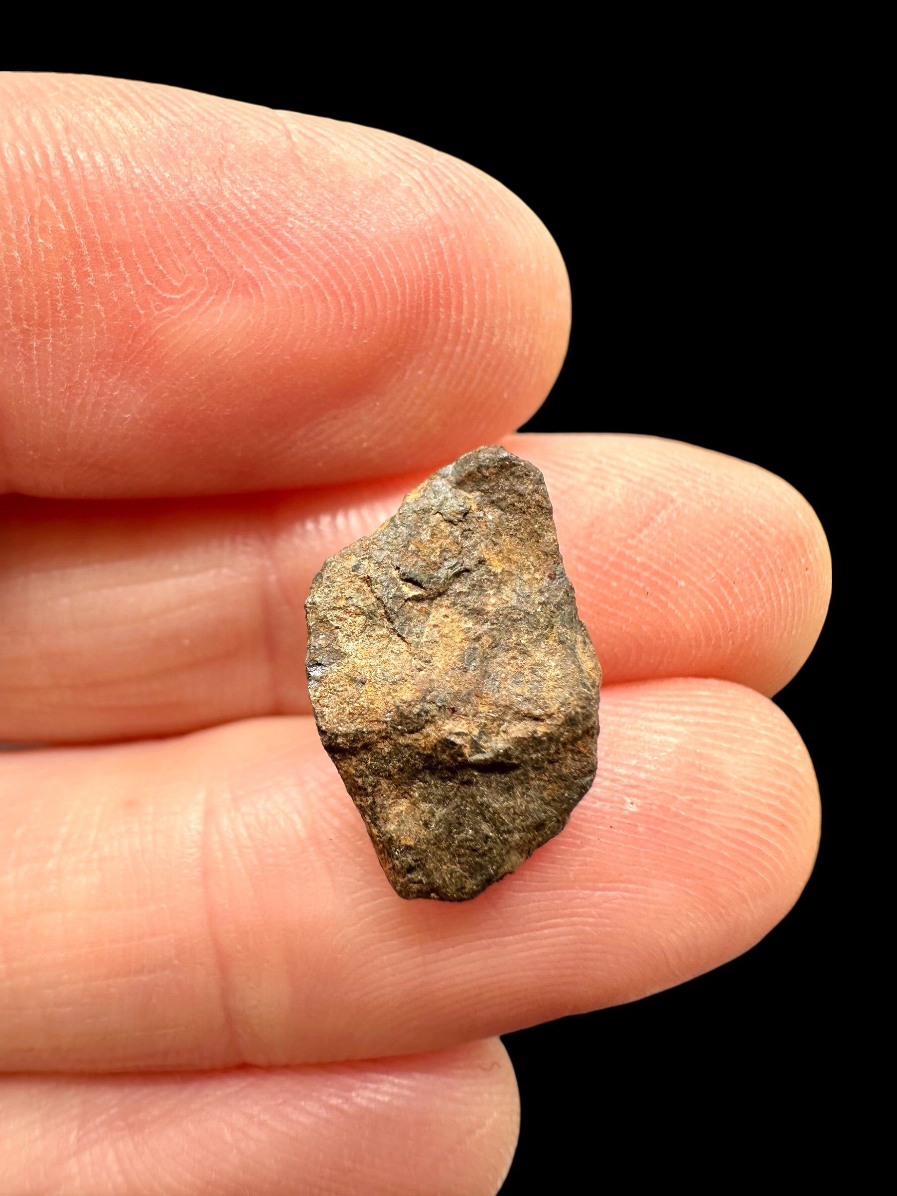 Meteorite Canyon Diablo 2,3g – Arizona, USA - MECD88