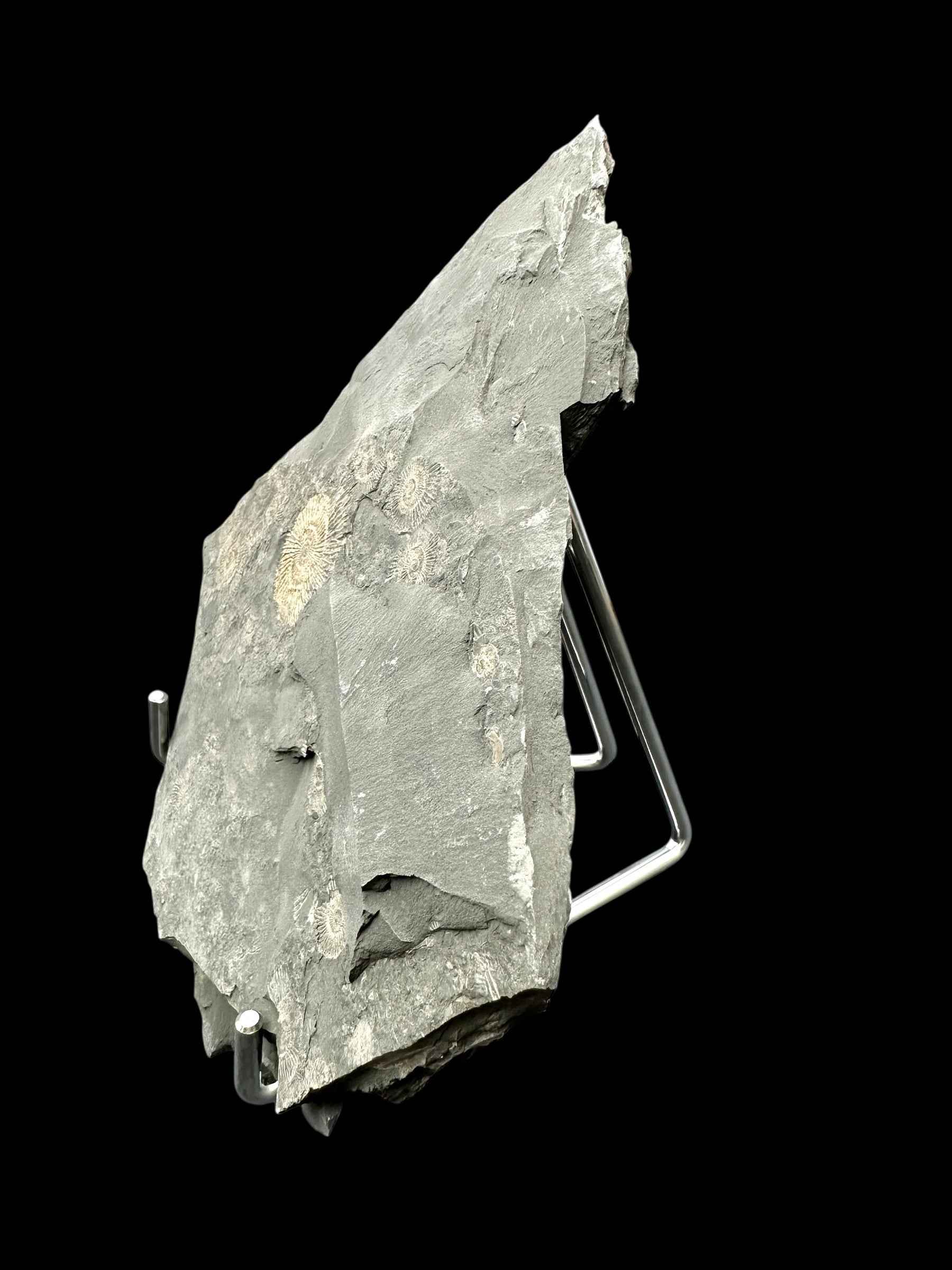 Supporto in ferro – altezza 13,5 cm - STOJ21