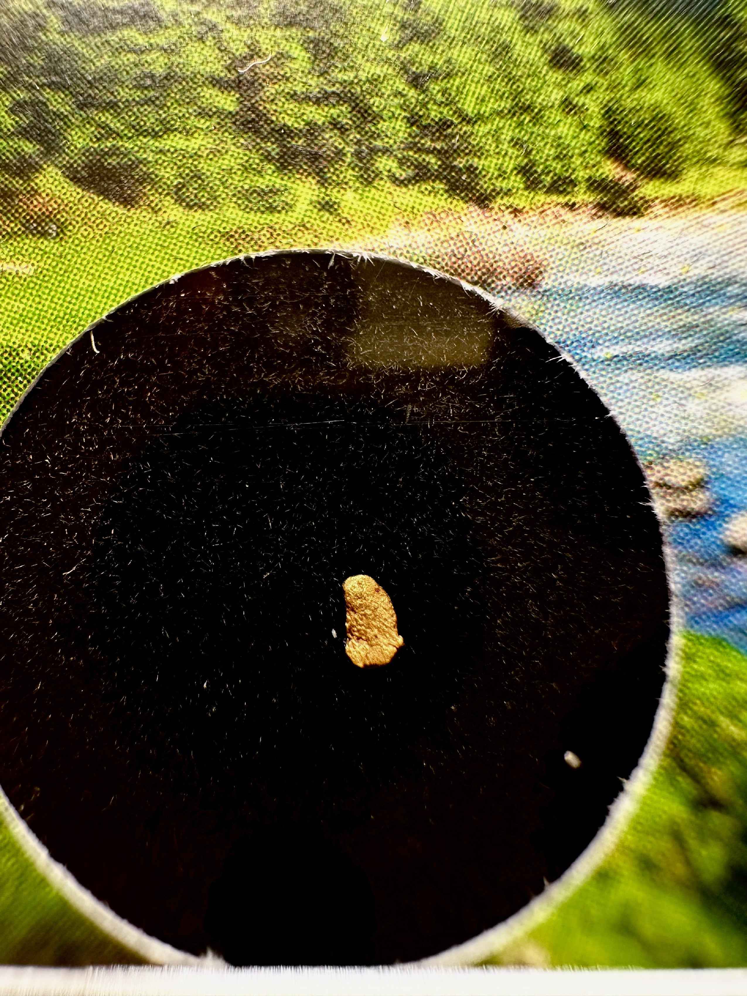 Oro in scatola – Bela river, CZ - ZL202