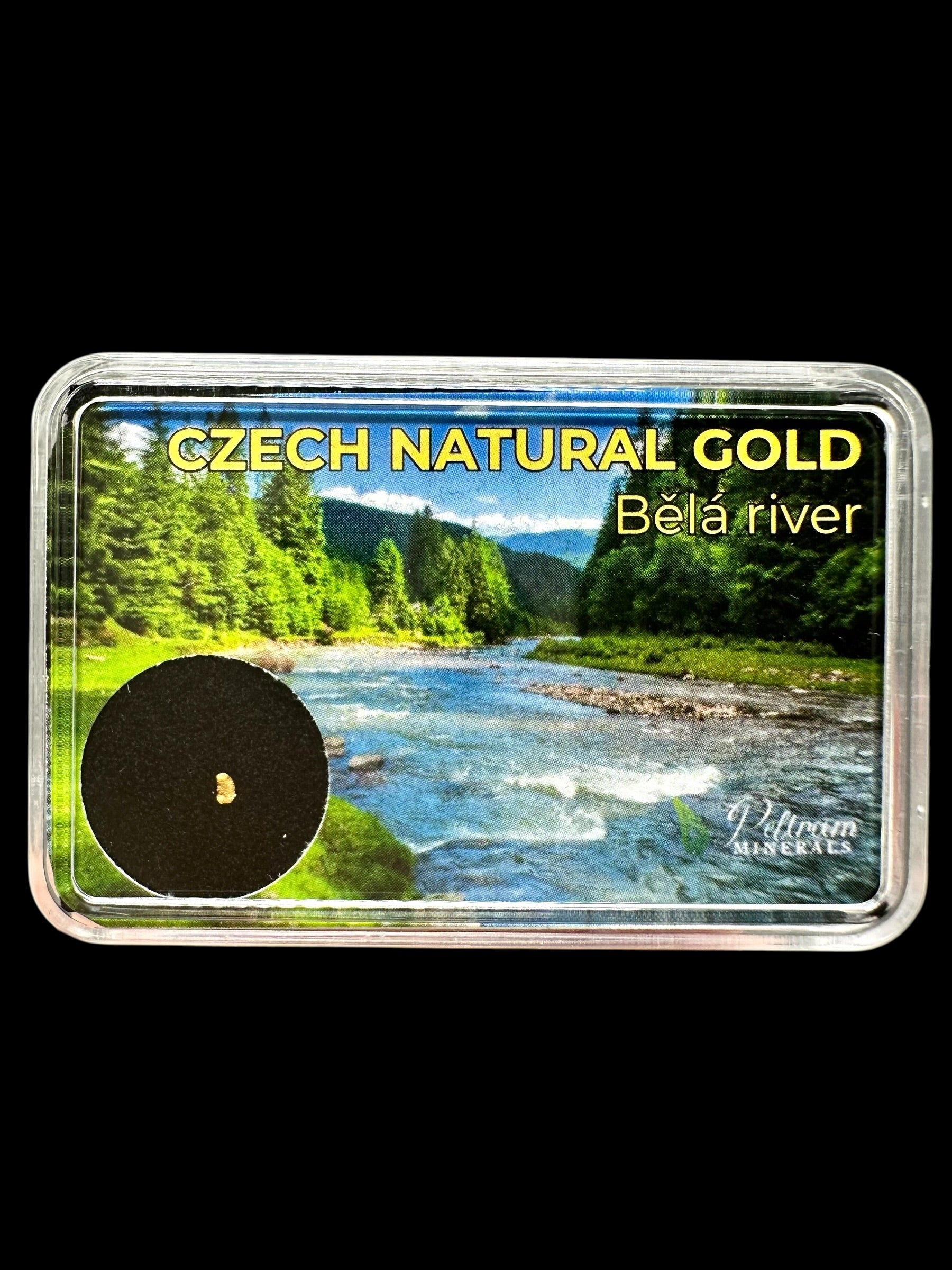 Gold in box – Bela river, CZ