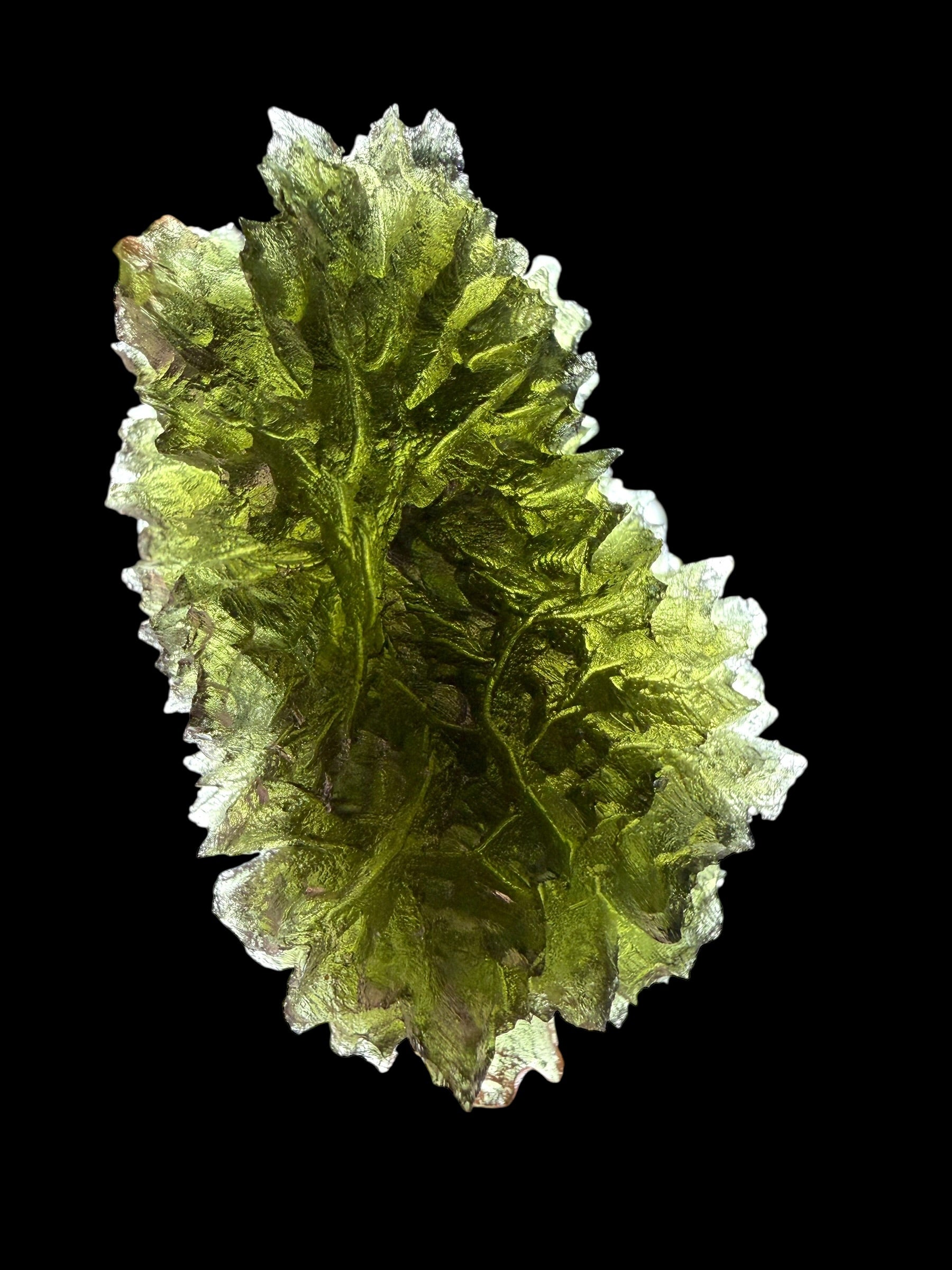 Moldavite – Besednice Jezkovna – 18,3g - V2428