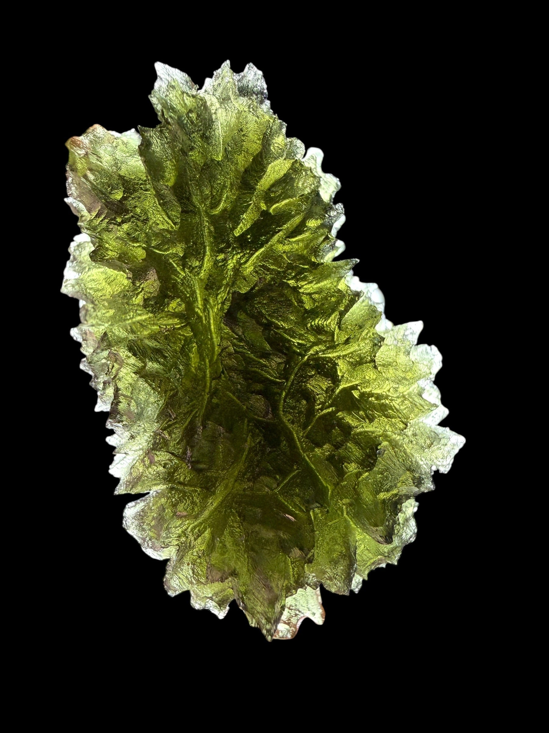 Moldavite – Besednice Jezkovna – 18,3g - V2428