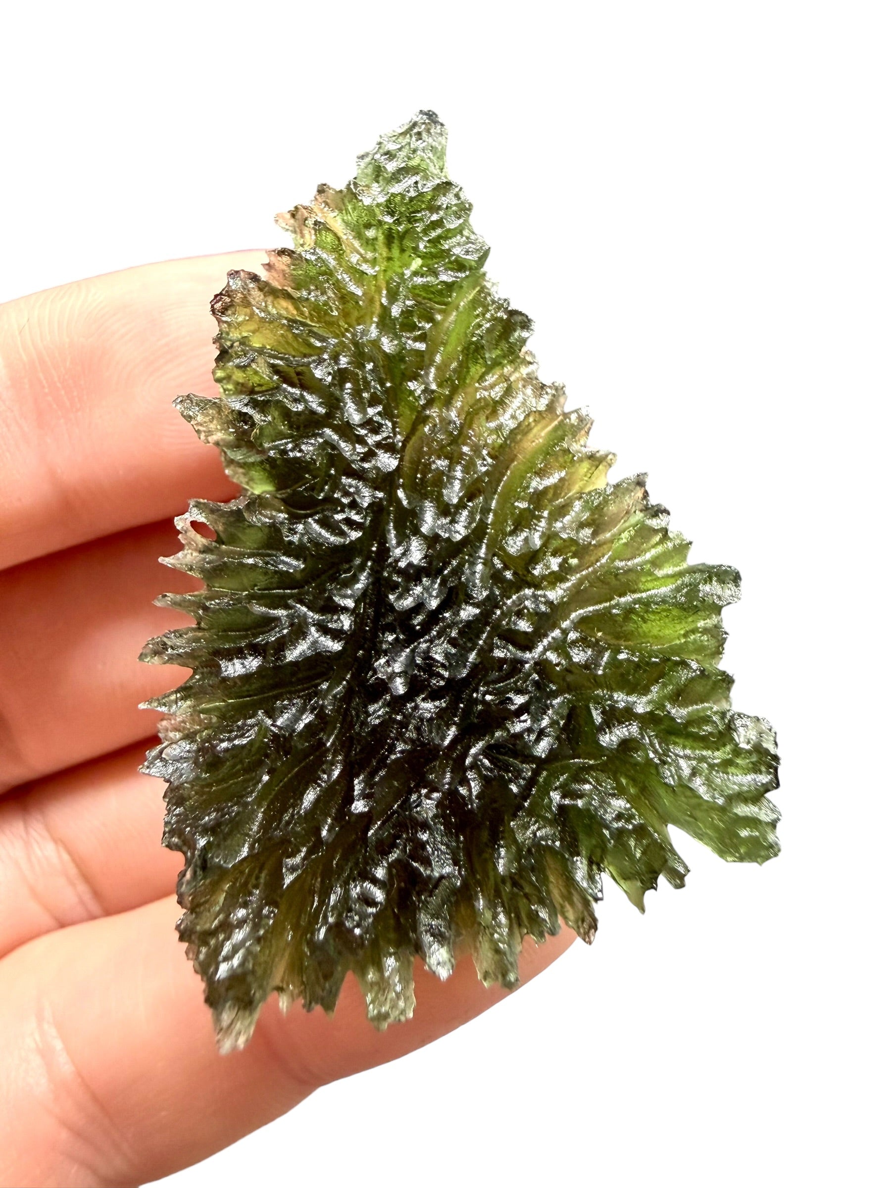 Moldavite – Besednice Jezkovna – 18,8g - V2430