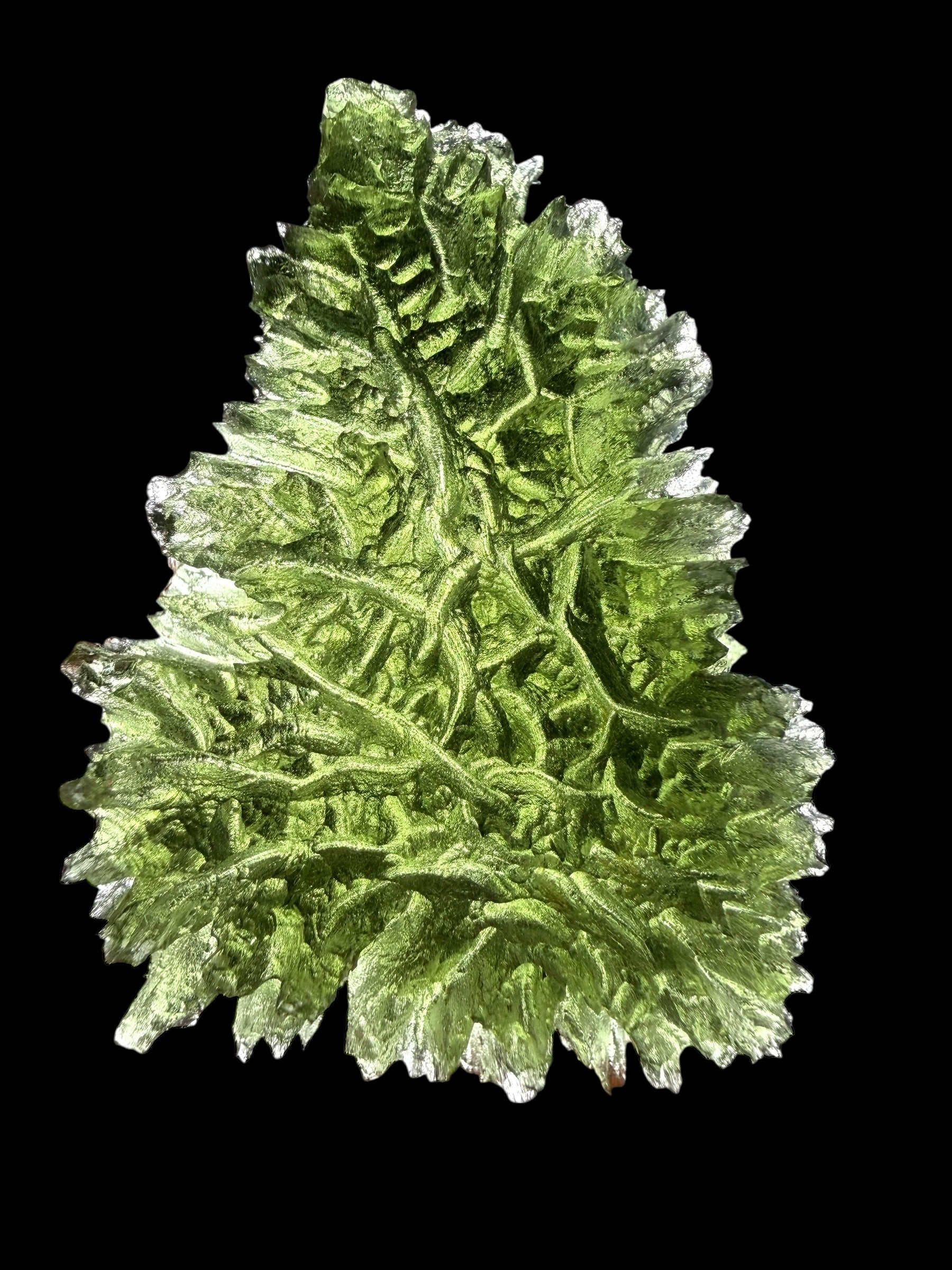 Moldavite – Besednice Jezkovna – 18,8g - V2430