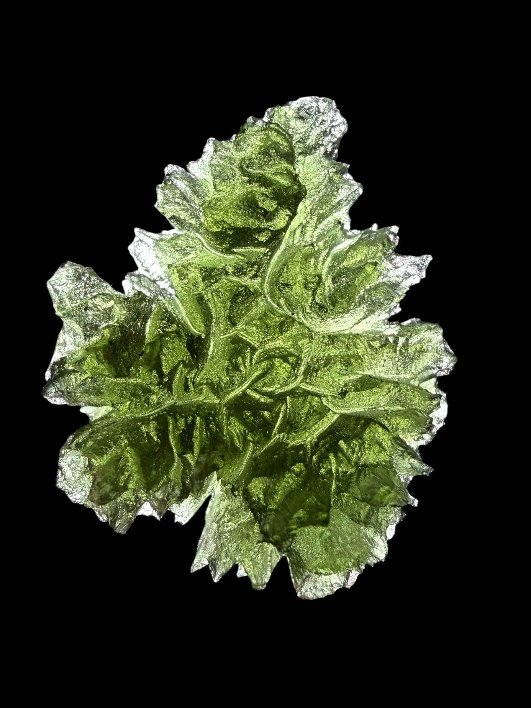 Moldavite – Besednice Jezkovna – 12,6g - V2429