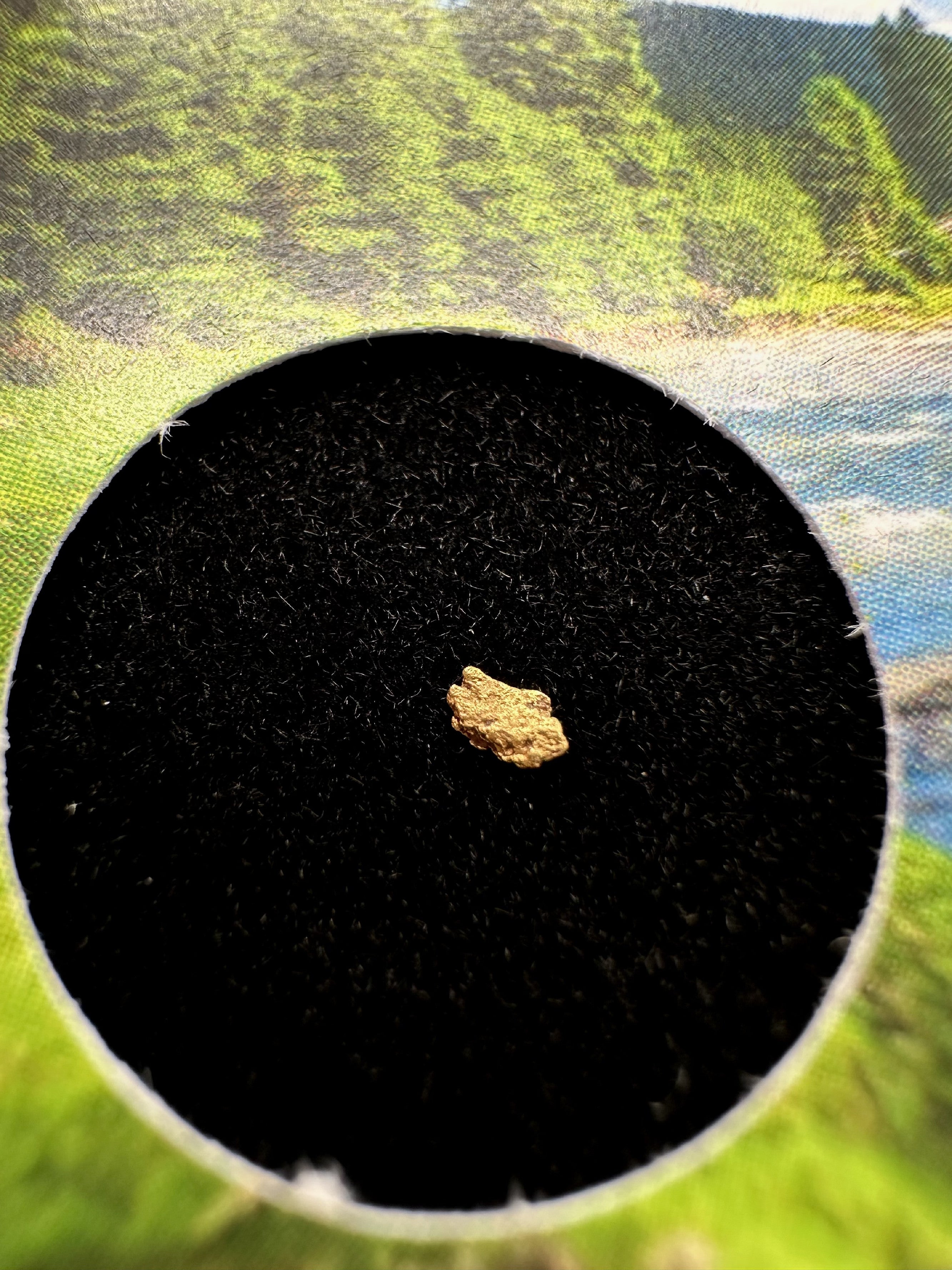Gold in box – Bela river, CZ