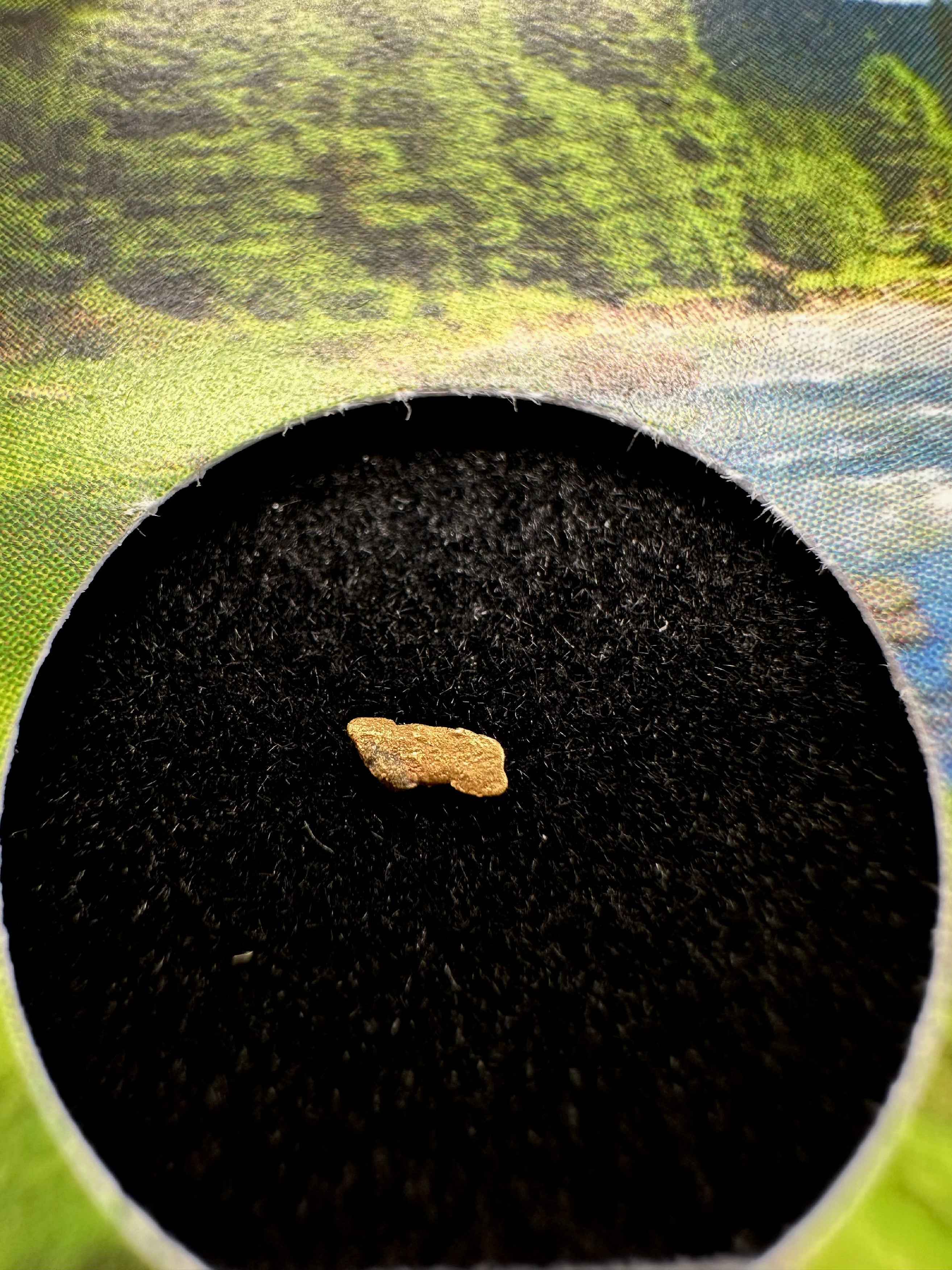 Oro in scatola – Bela river, CZ - ZL211
