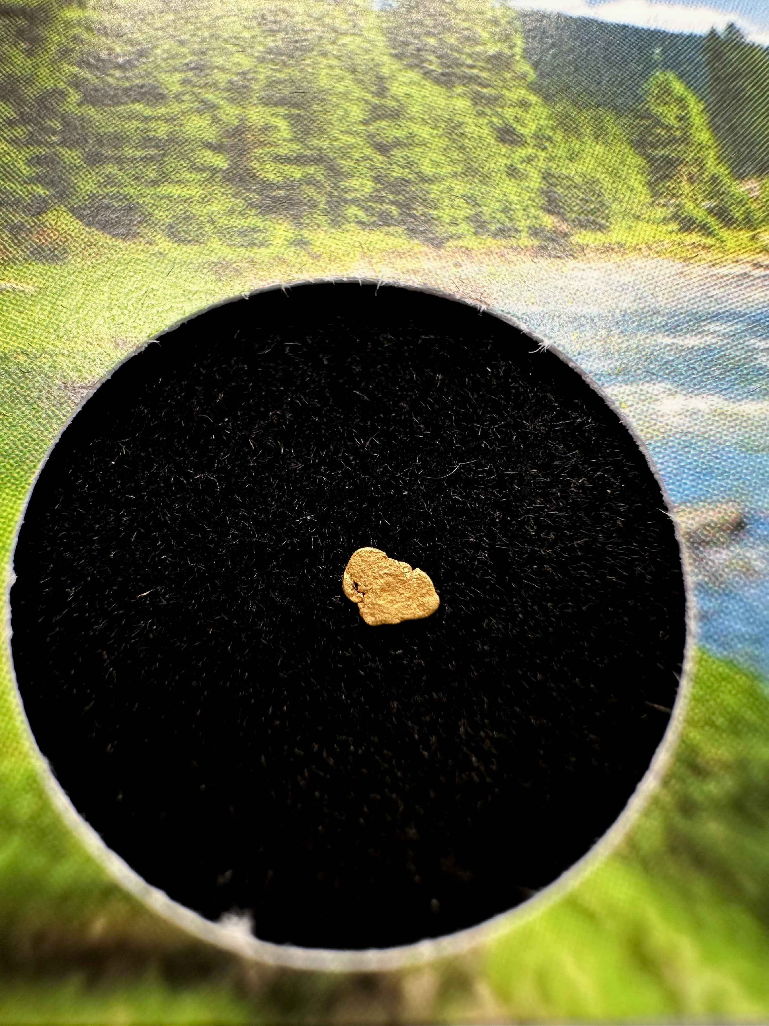 Oro in scatola – Bela river, CZ - ZL212