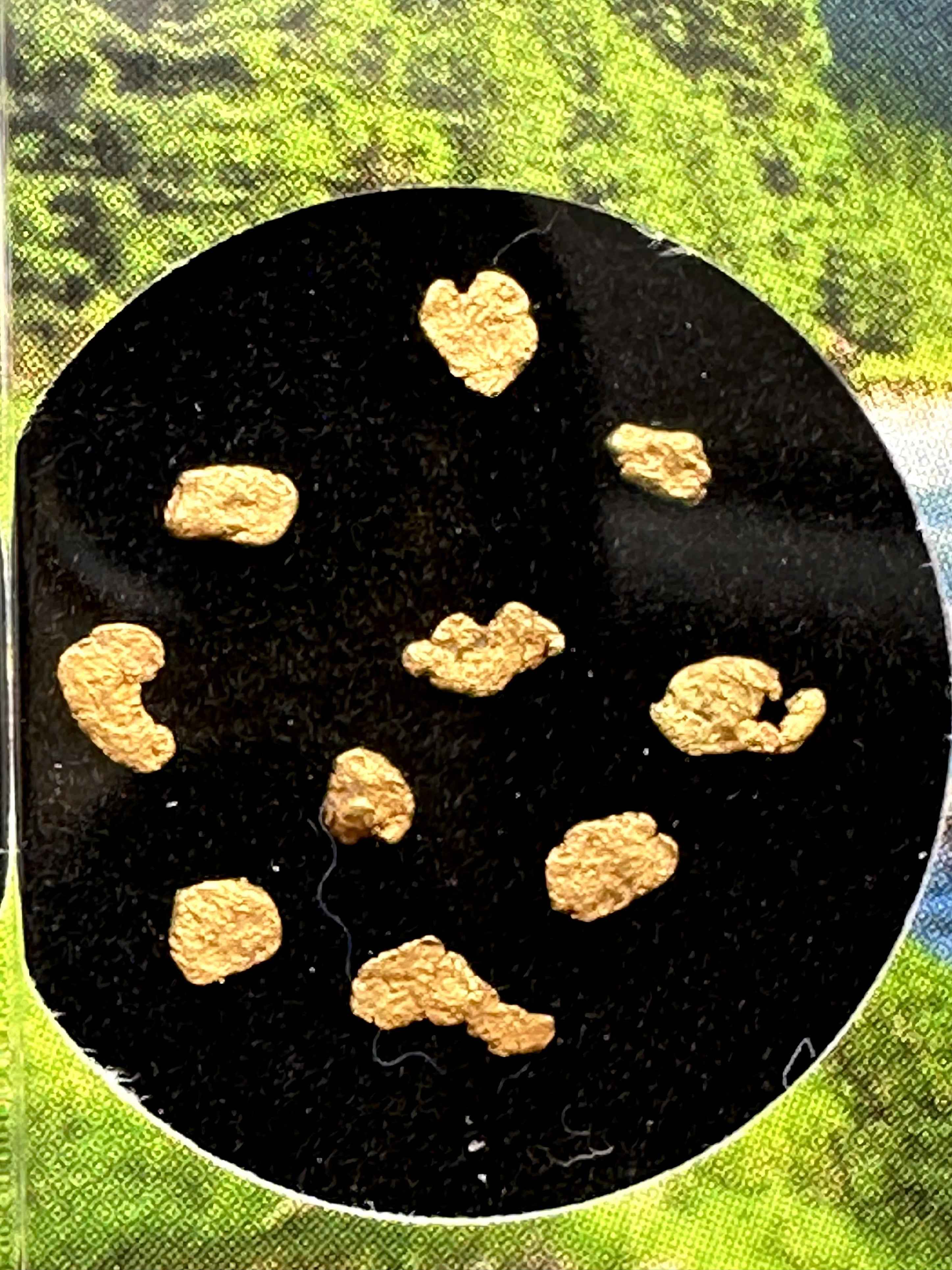 Oro in scatola – Bela river, CZ - ZL213