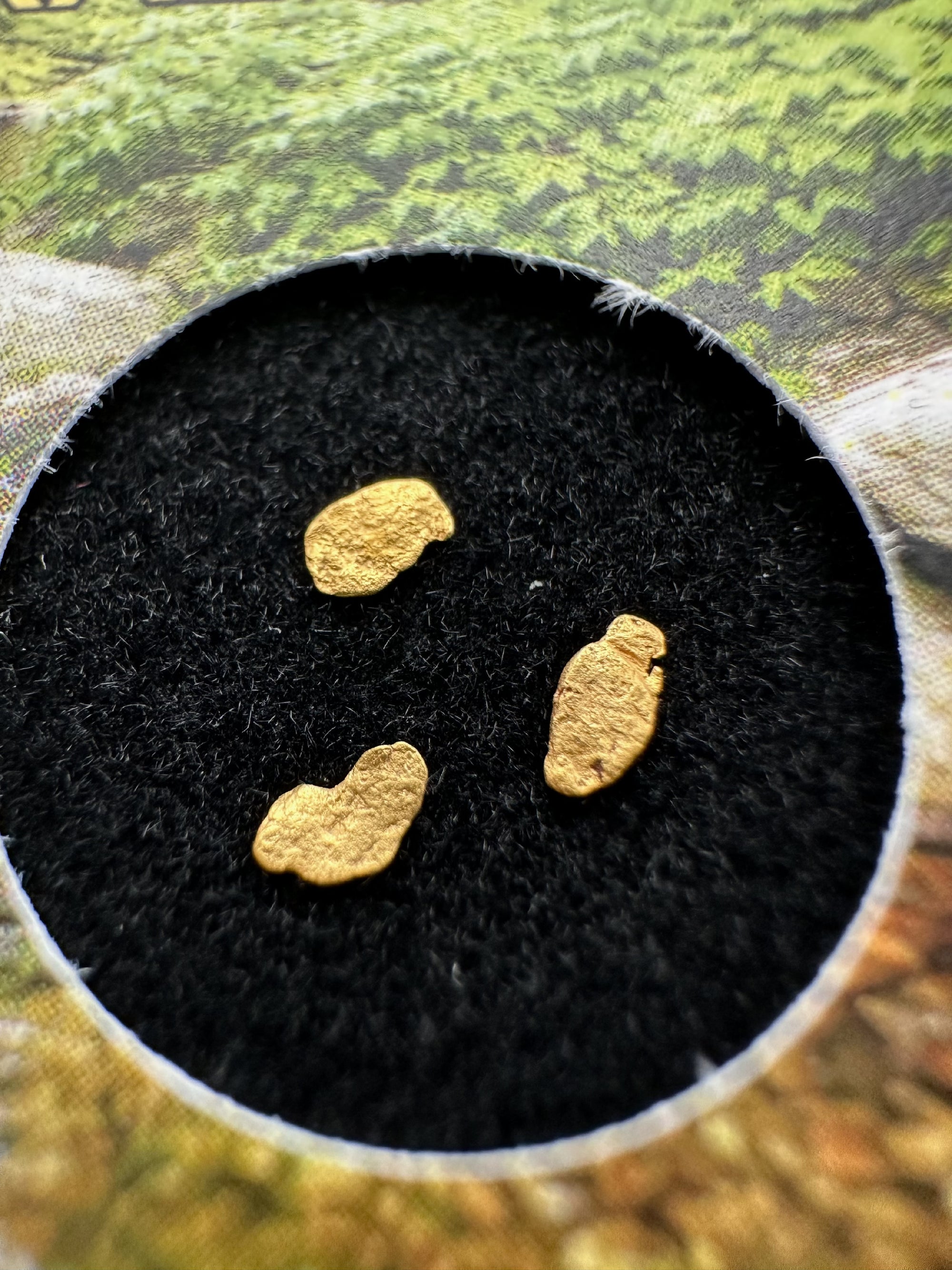 Gold in box – Bojov creek, CZ