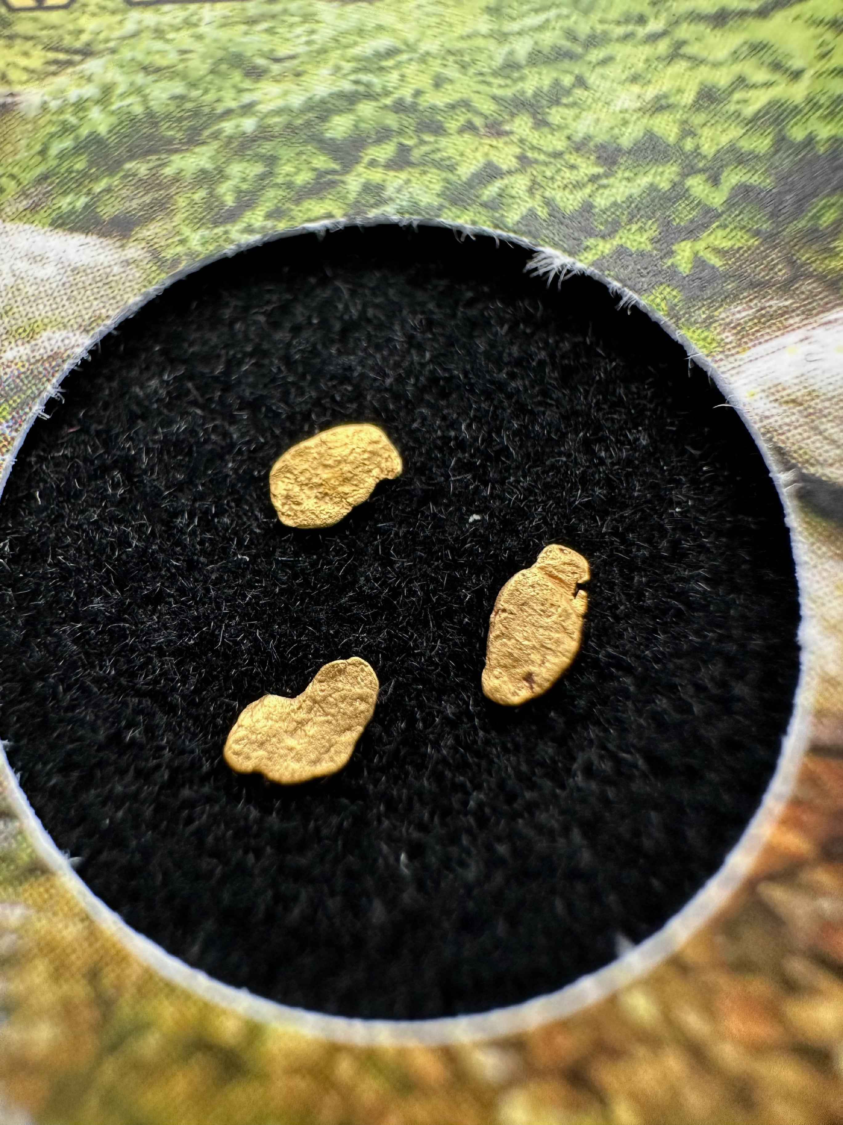 Gold in box – Bojov creek, CZ